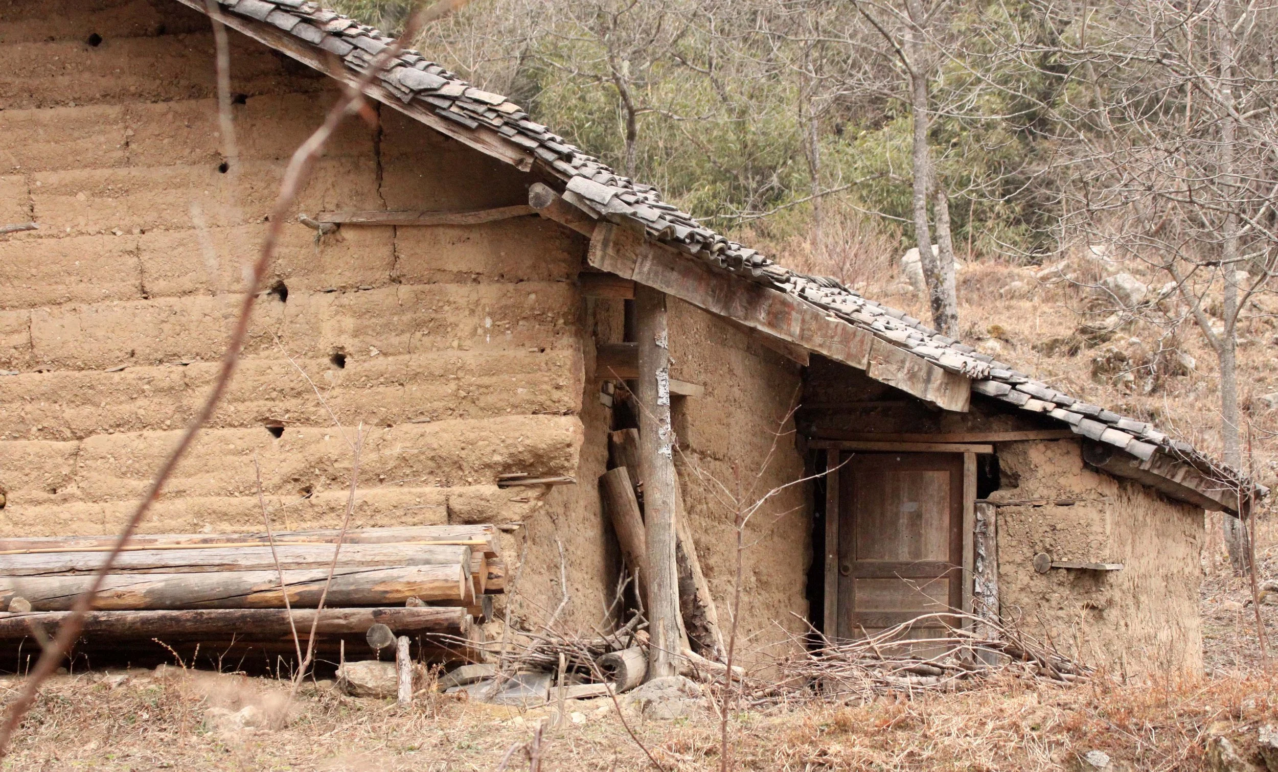FOPING NATURE RESERVE - SHAANXI PROVINCE CHINA (95).JPG