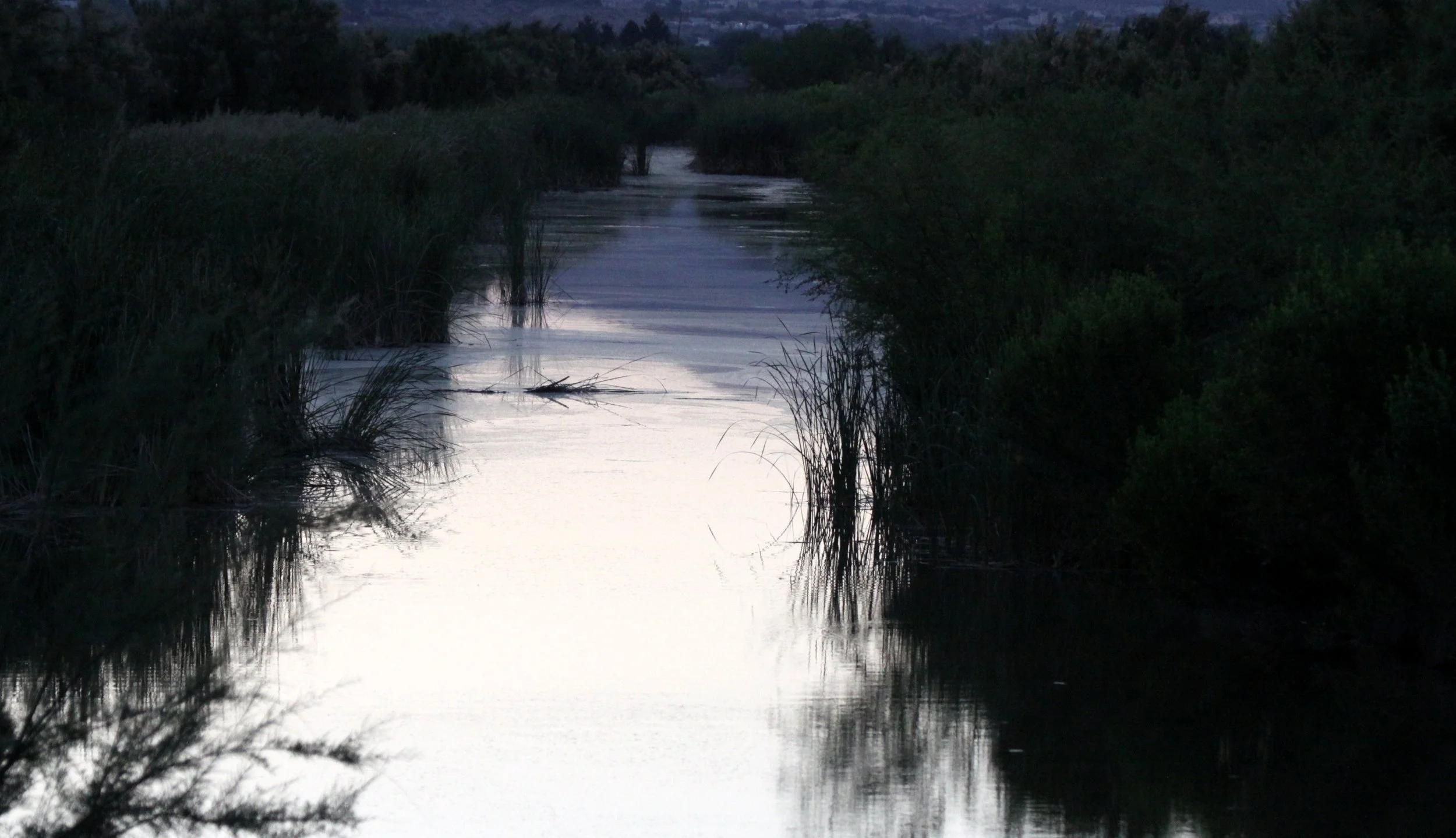 Mesilla Valley