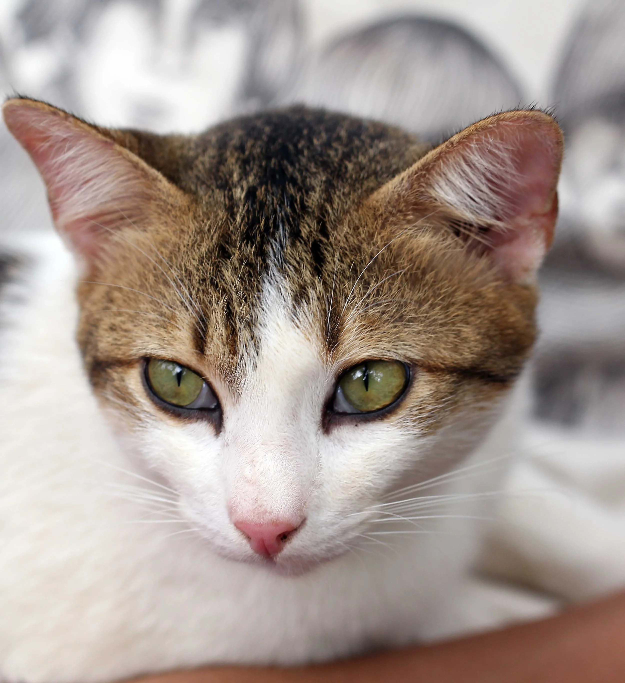 2015 Koh Lanta Songkran with friends from ISB (394).JPG