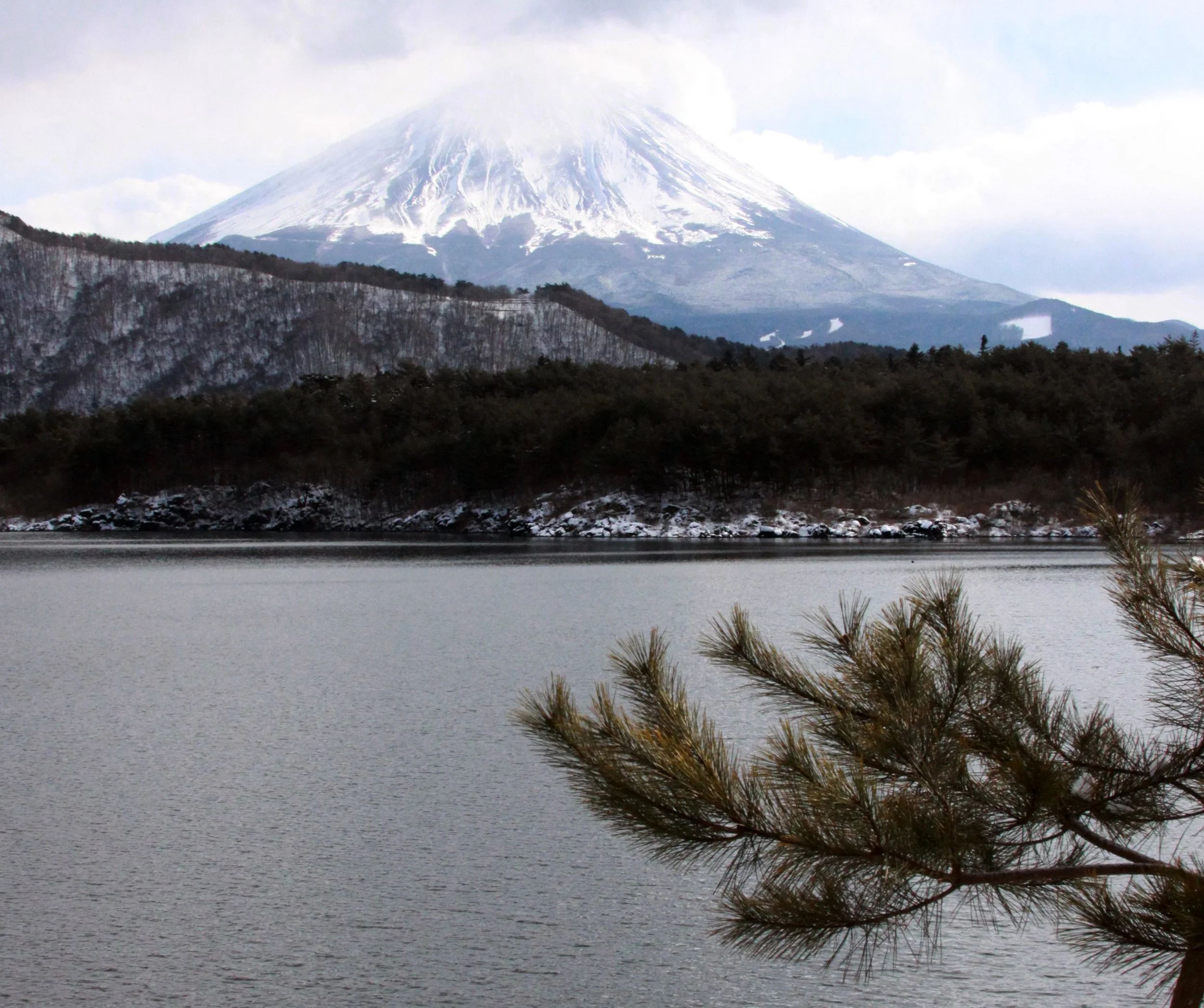 MOUNT FUJI - AS SEEN FROM SAIKOYACHONOMORI PARK JAPAN (12).JPG