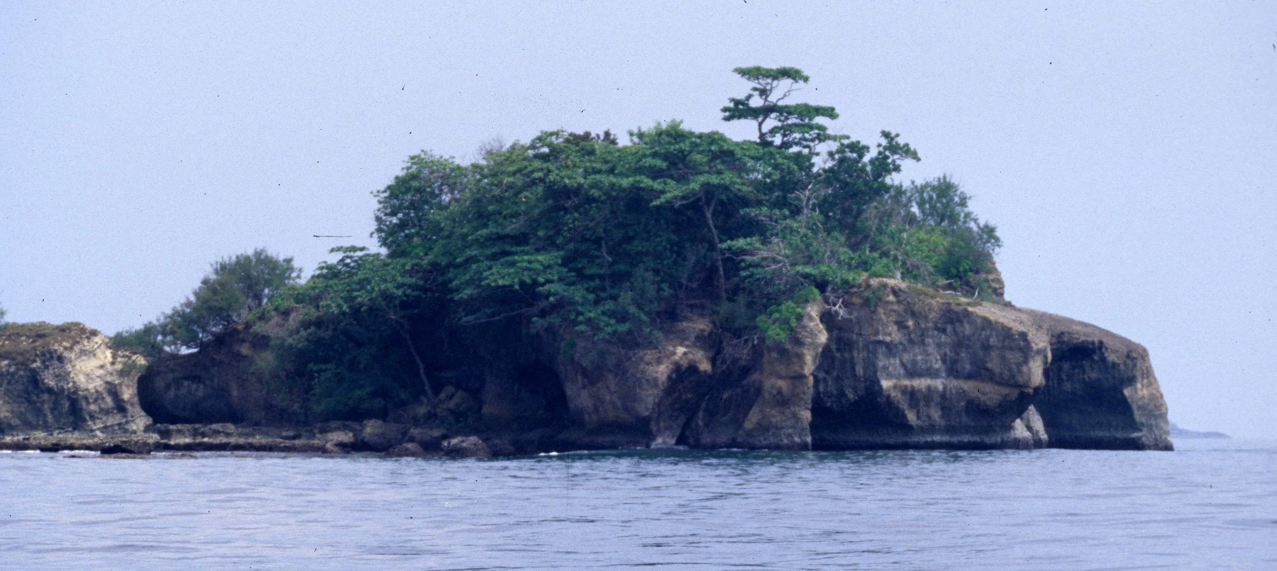 UJON KULONG NP - INDONESIA - JAVA A.jpg