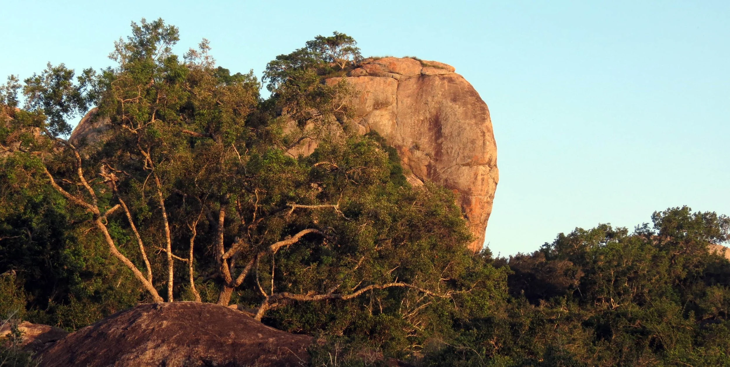 YALA NATIONAL PARK SRI LANKA - KIRINDA VILLAGE AREA (16).JPG