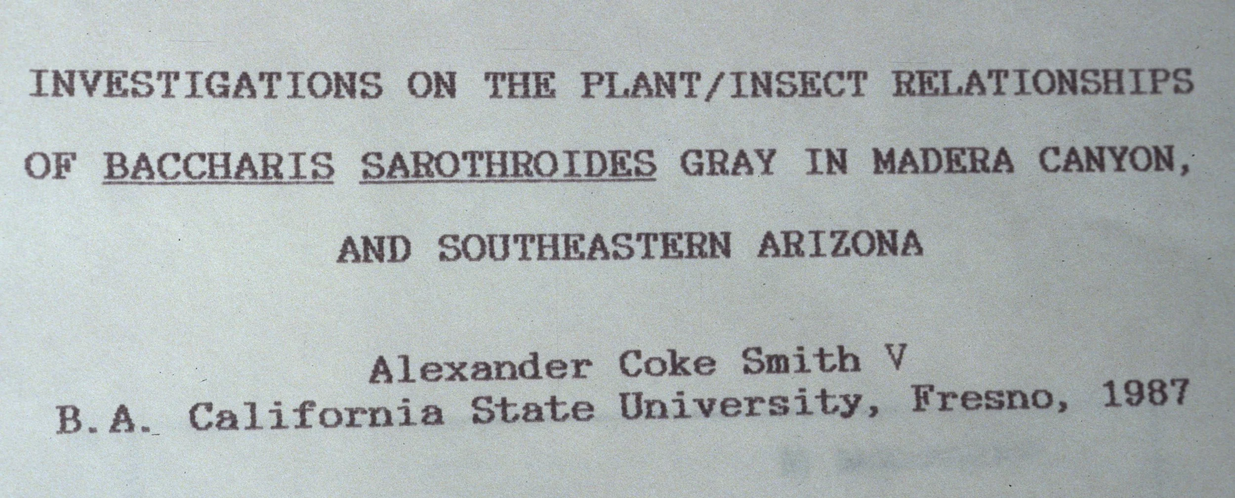 ARIZONA - MADERA CANYON - RESEARCH - THESIS A.jpg