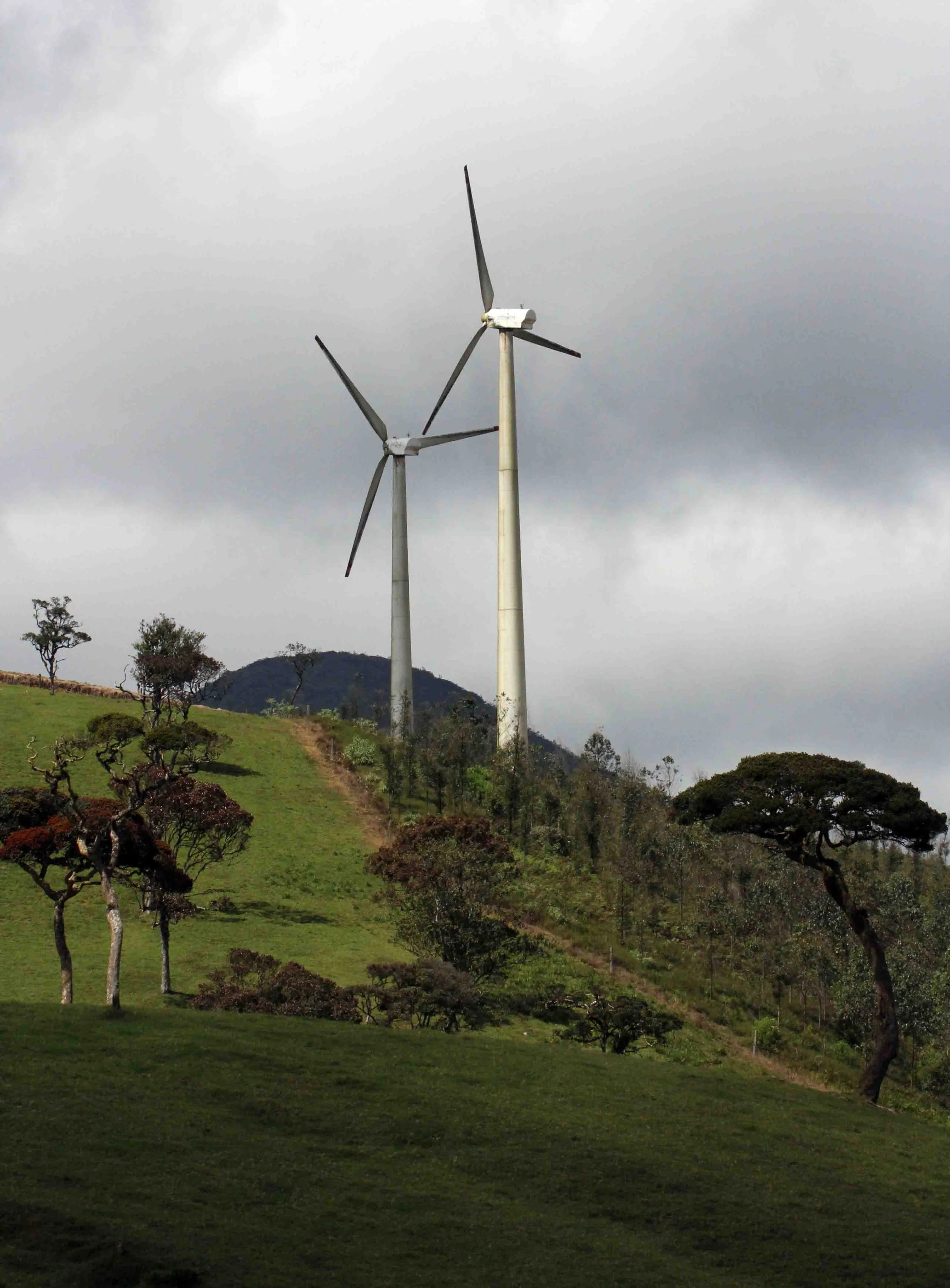 NUWARA ELIYA， HORTON PLAINS NATIONAL PARK,  SRI LANKA (43).JPG