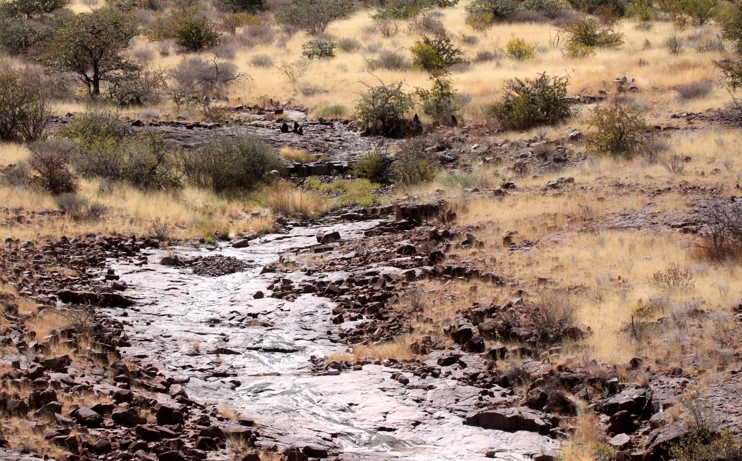NAMIBIA - DAMARALAND - SCENERY (4).JPG
