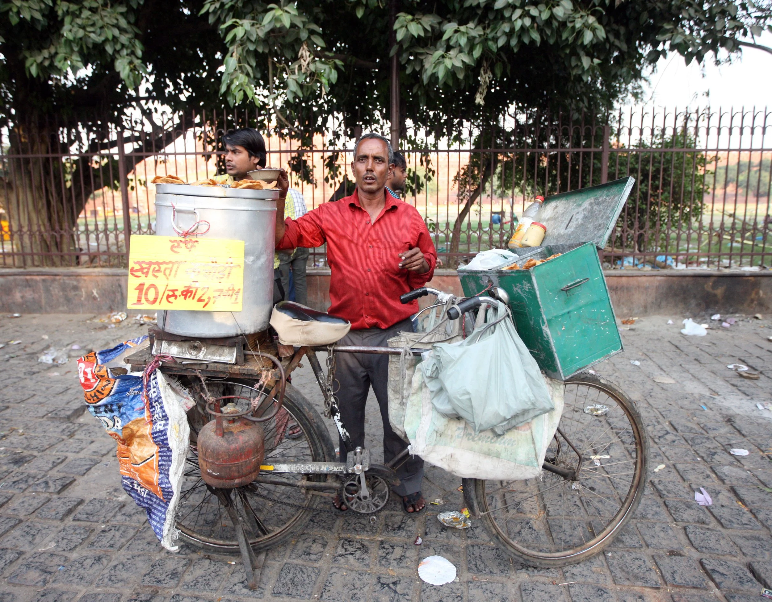 OLD DELHI INDIA - SNOW LEOPARD TRIP 2014 (59).JPG