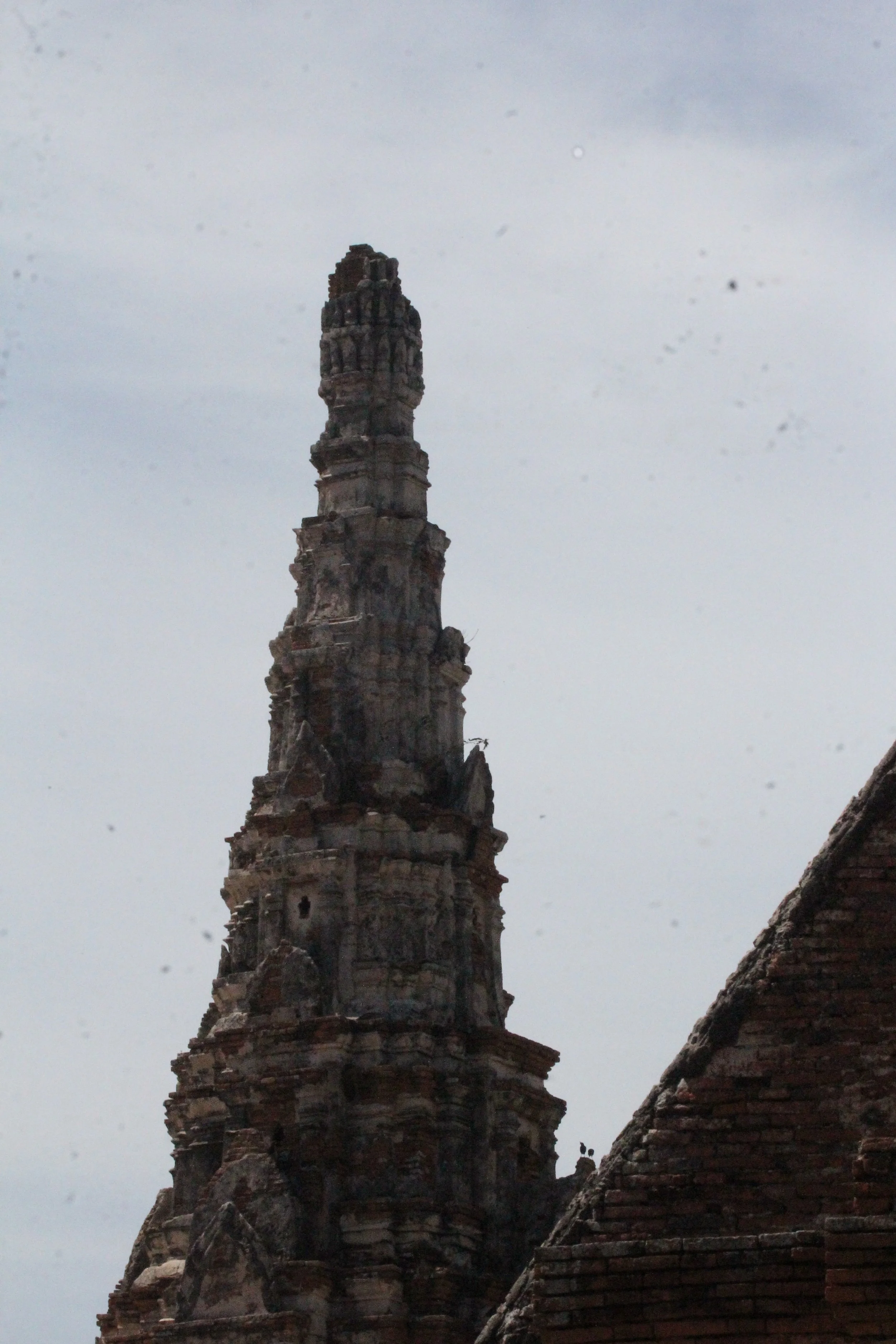2020 - Ayutthaya Cokie's Pictures (38).JPG