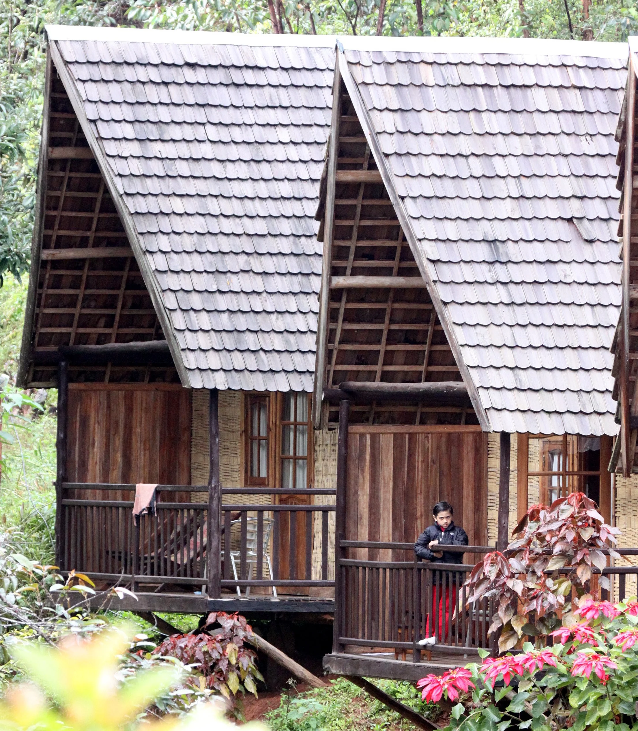 Feon Ny'ala Lodge near Andisabe, Mantadia-Andisabe (Perinet)