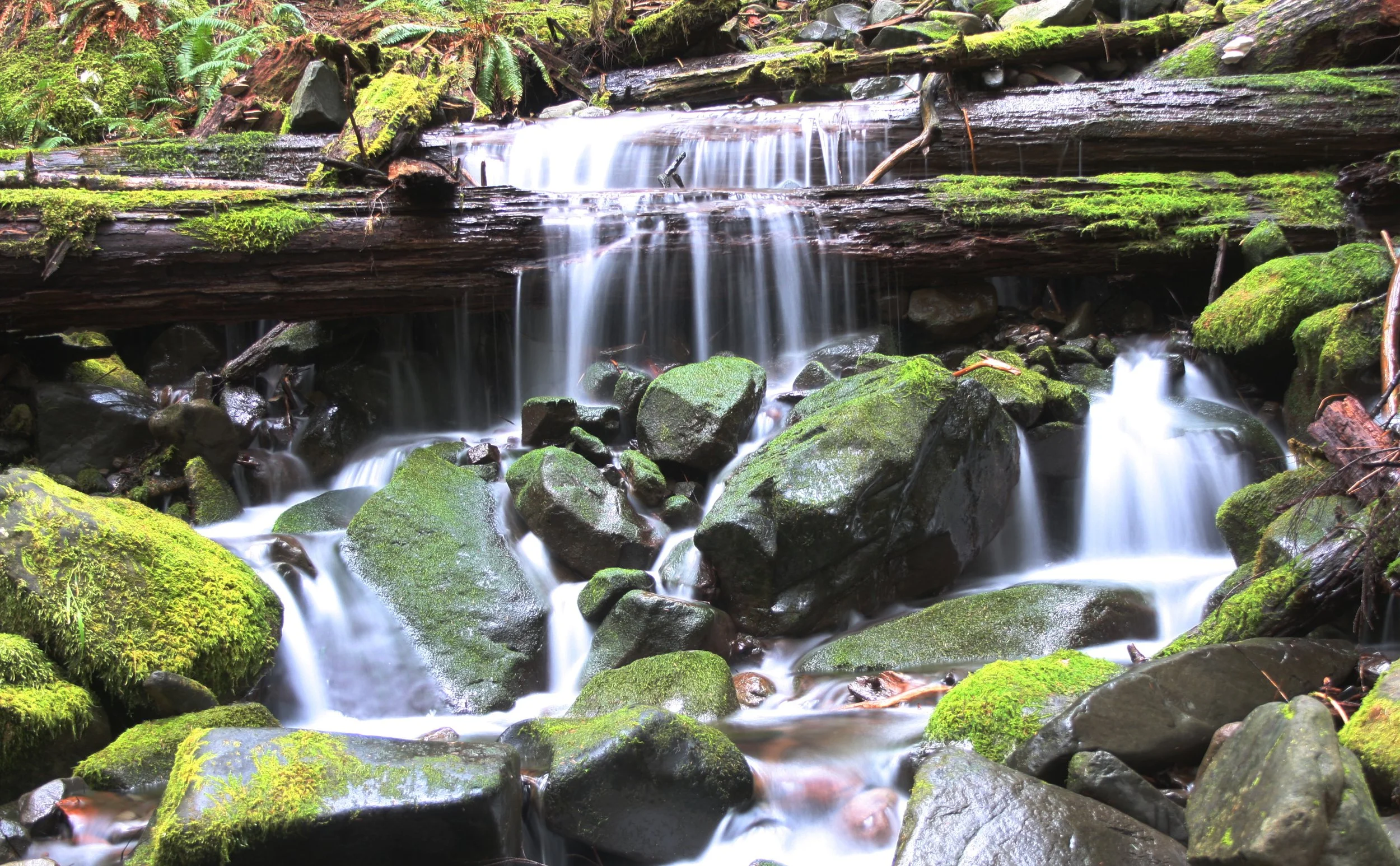 SOL DUC FALLS AND FOREST - ONP WA (91).JPG