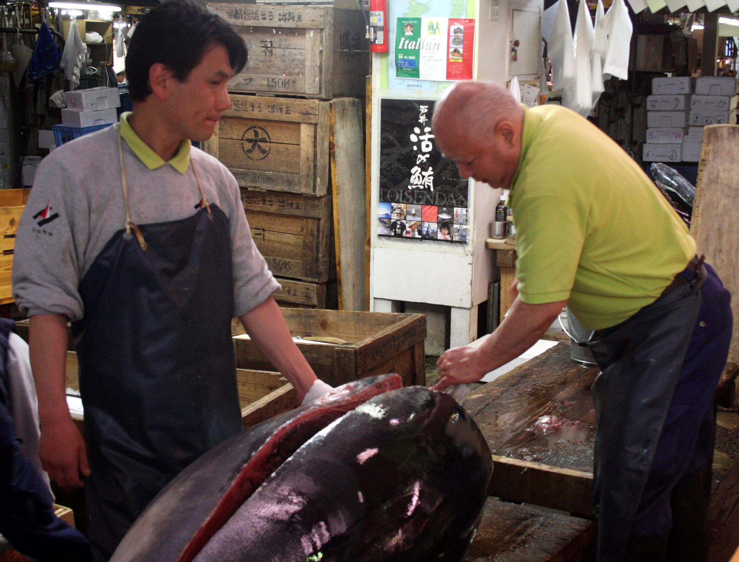 TOKYO - MAY 2009 - TSUKIJI MARKET (36).JPG