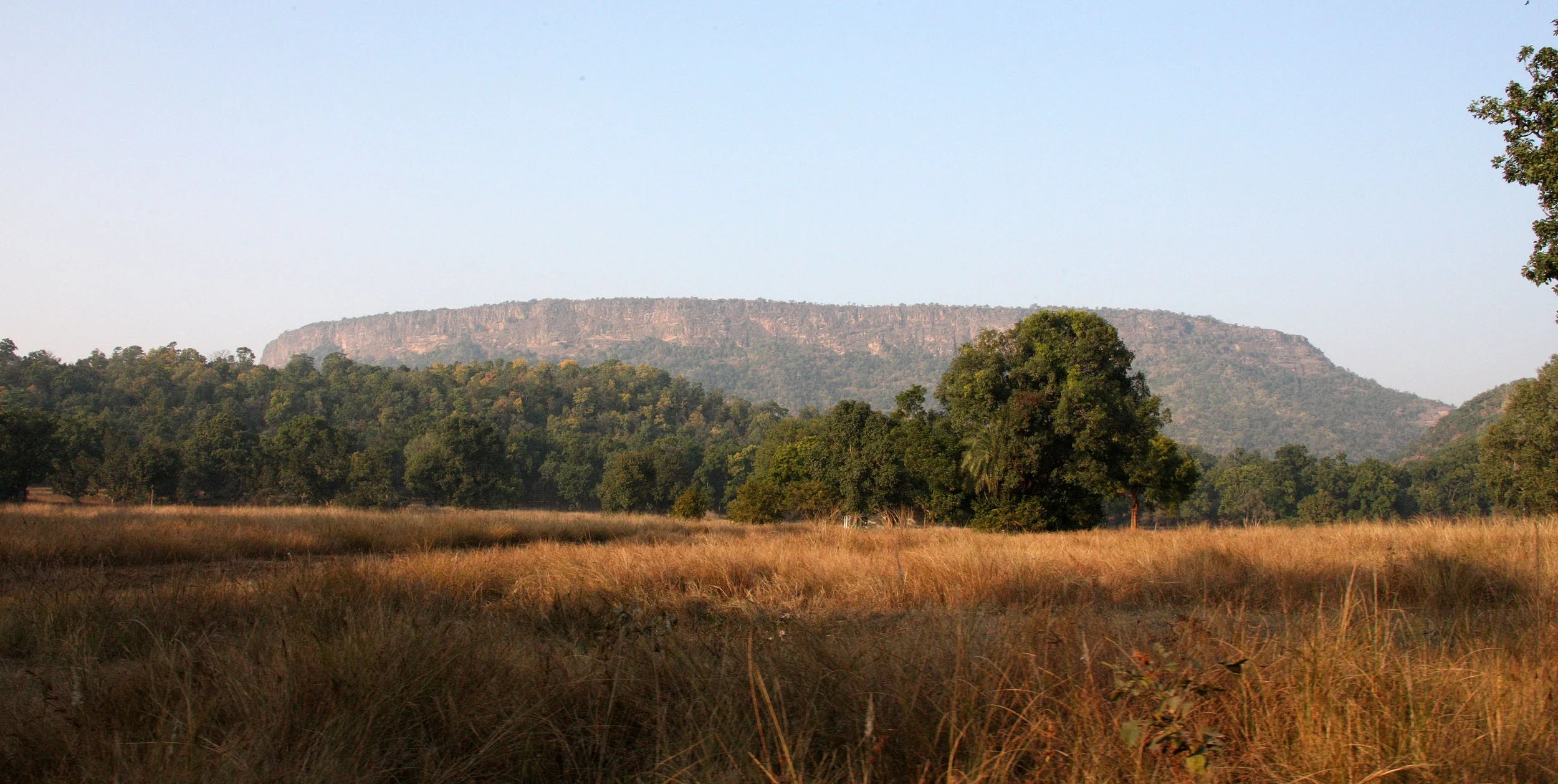 MADHYA PRADESH - BANDHAVGAR NATIONAL PARK MADHYA PRADESH INDIA (13).JPG