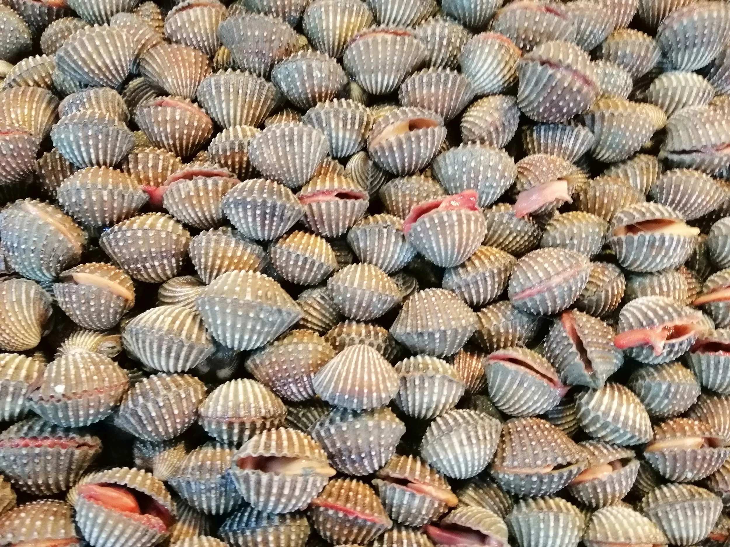 2019 Motorcycle Ride with Cokie to Samut Prakan  (186).jpg