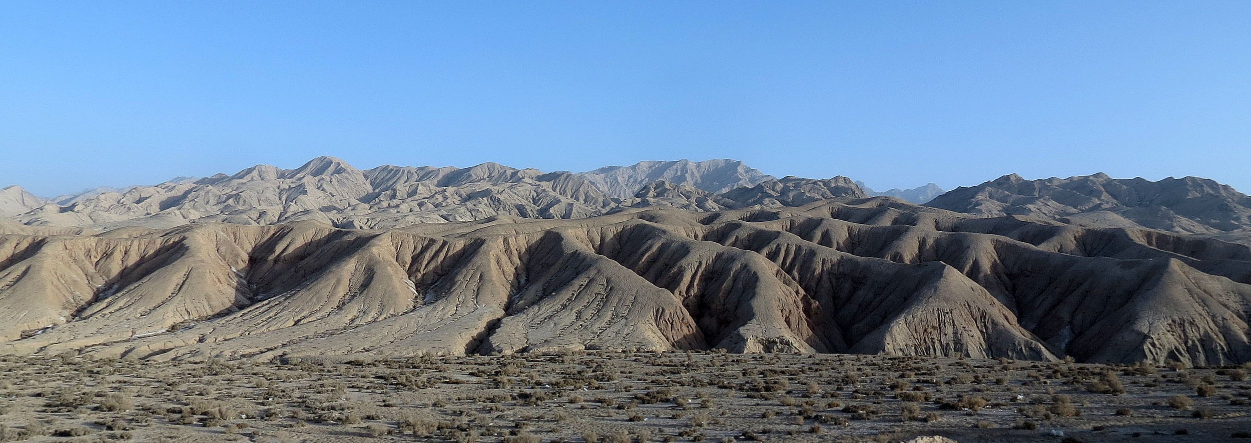 LOP NUR WILD BACTRIAN CAMEL RESERVE - XINJIANG CHINA (76).JPG