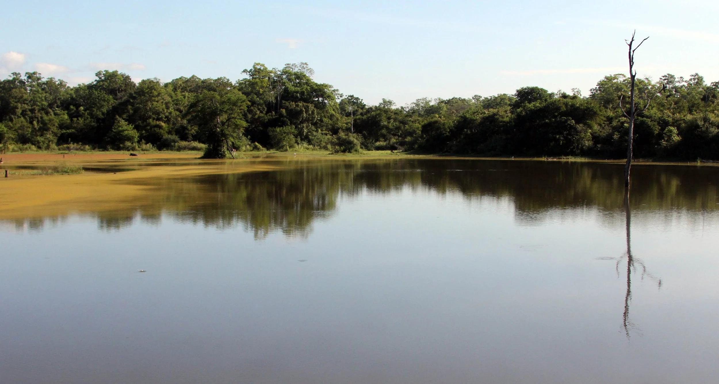 UDAWALAWA NATIONAL PARK SRI LANKA (18).JPG