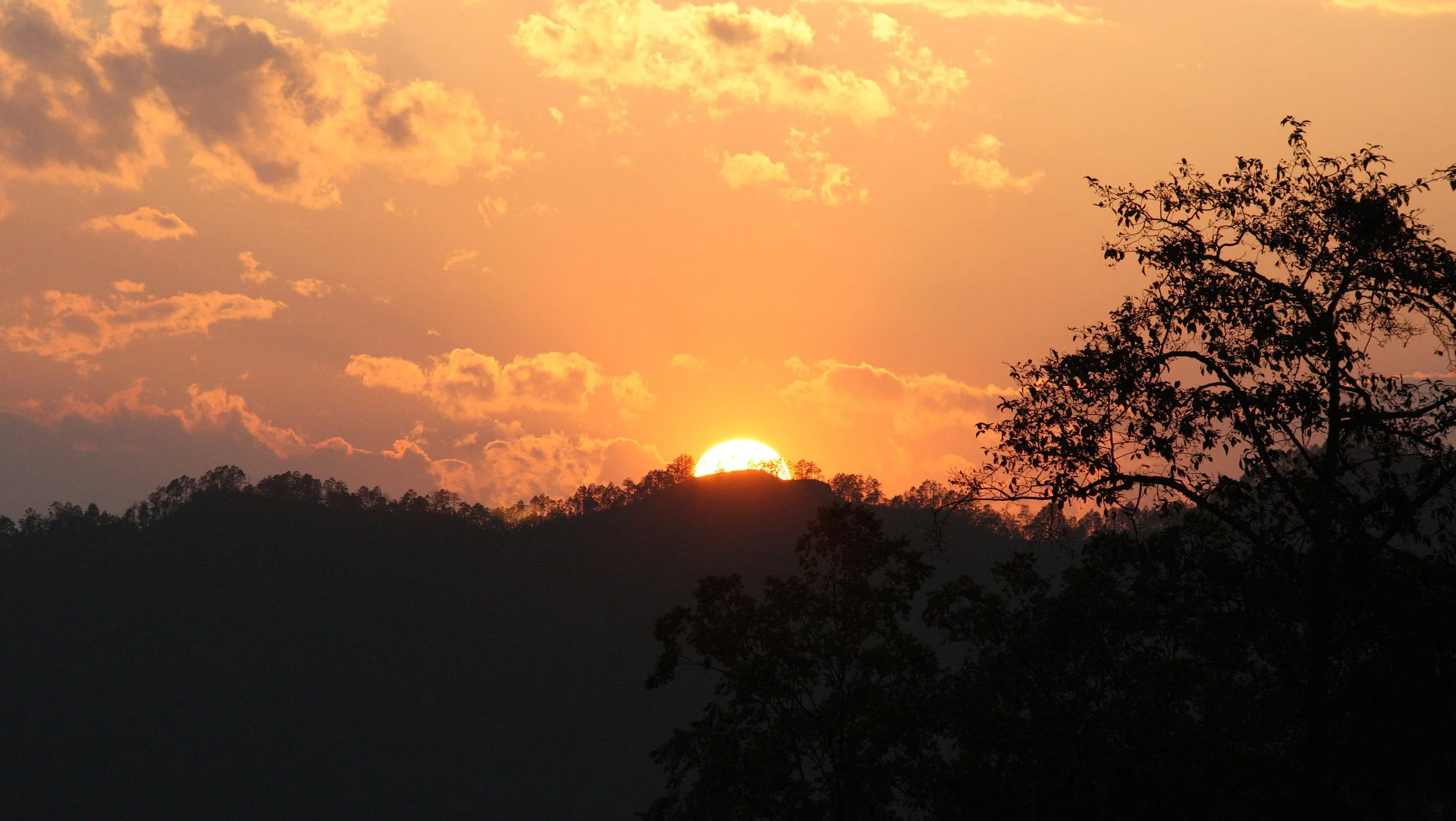 YUNNAN - WULIANGSHAN NATURE RESERVE AND SURROUNDING REGION (56).JPG