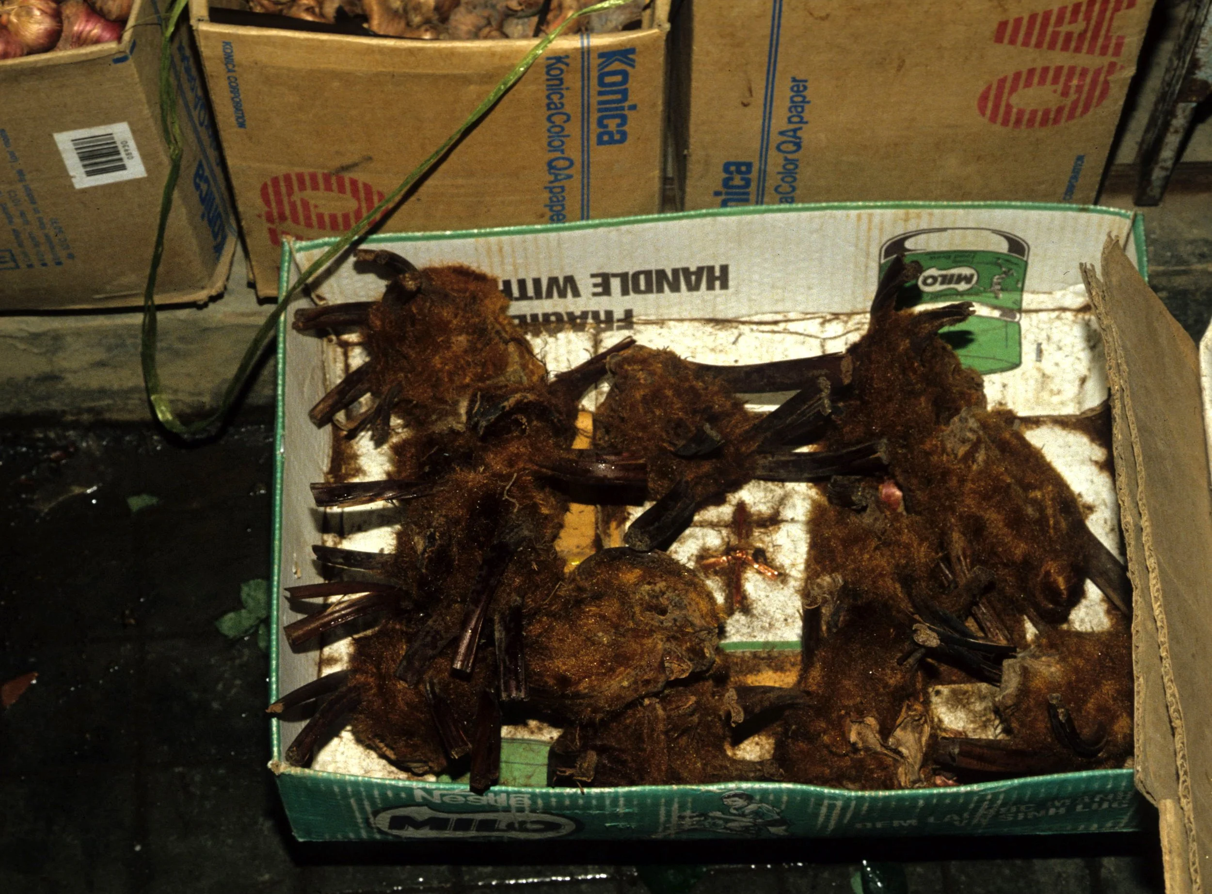 DALAT - POACHERS HOUSE (10).jpg