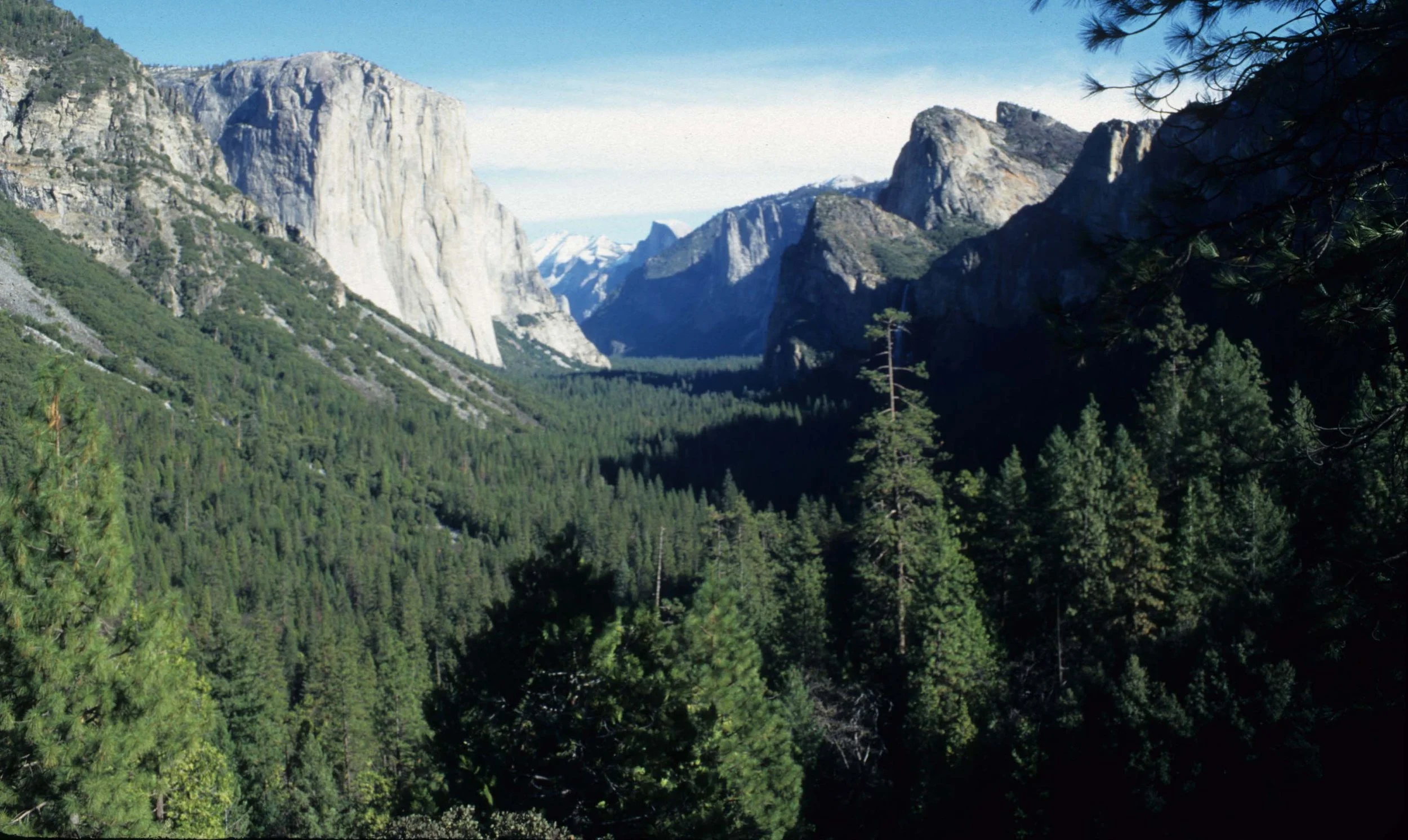 CALIFORNIA - YOSEMITE VALLEY.jpg