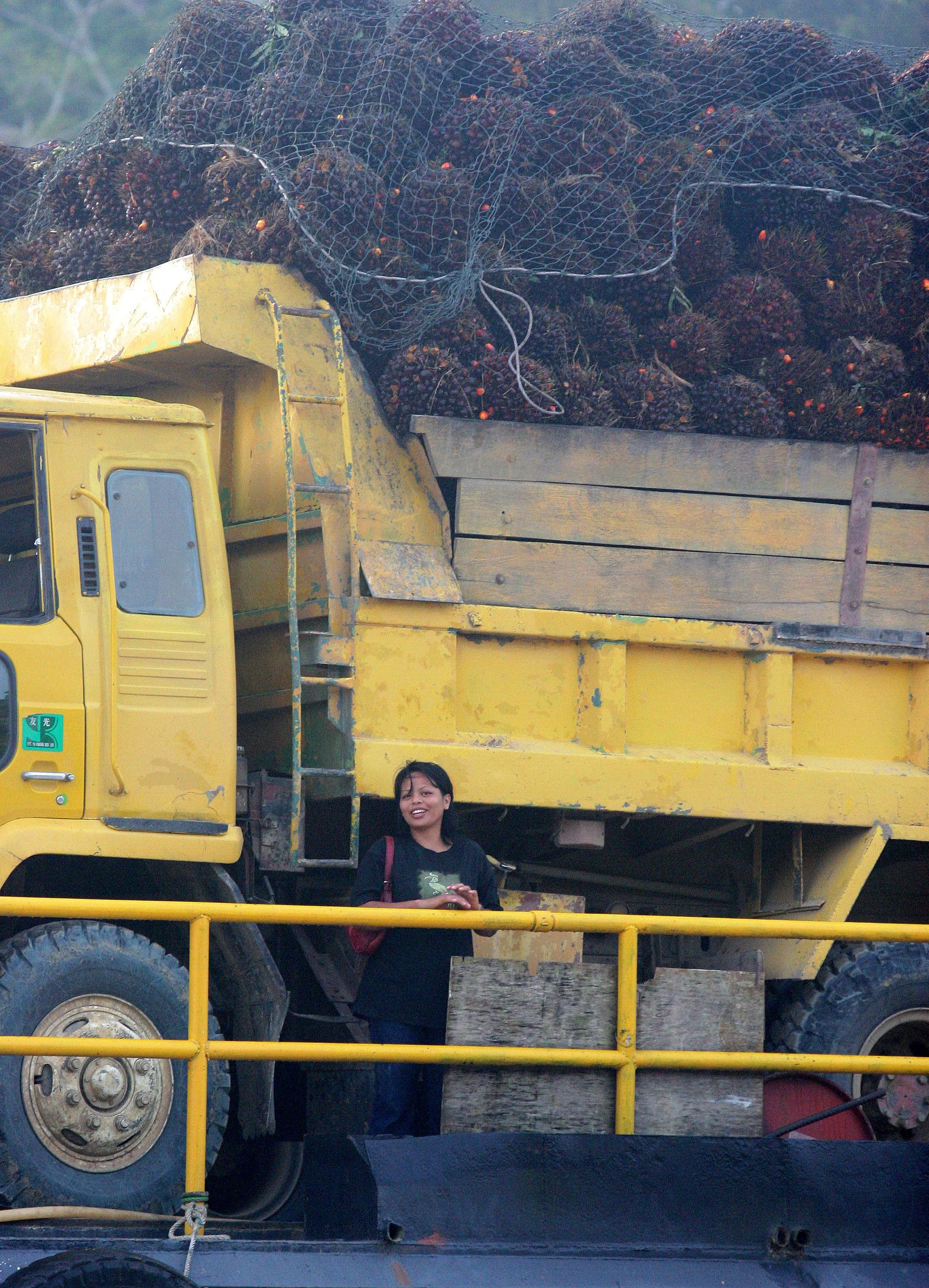 KINABATANGAN RIVER BORNEO - OIL PALM FRUIT RIVER TRANSPORT (2).JPG