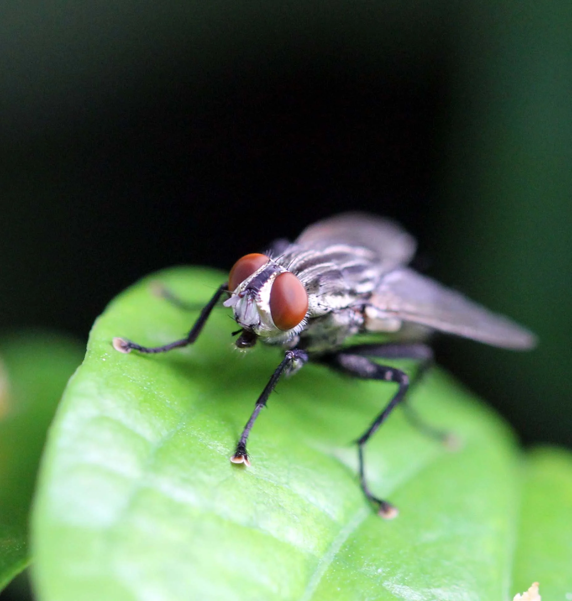 NAKHON & KRABI-LANTA - OCTOBER BREAK 2013 (53).JPG