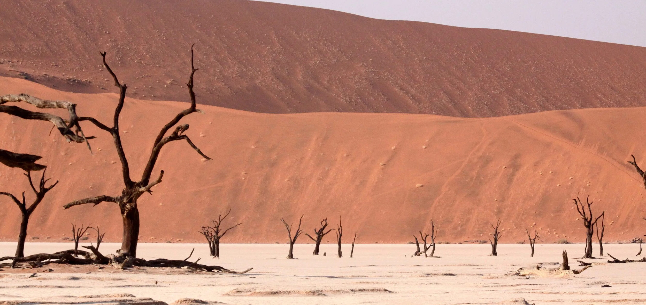 SOSSUSVLEI, NAMIB NAUKLUFT NATIONAL PARK, NAMIBIA - DEAD VLEI (6).JPG