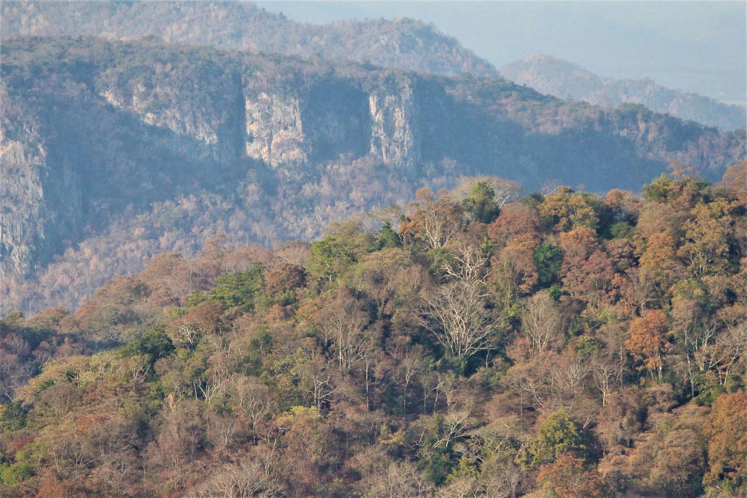 Exposed rock in one of the canyons of DPKY forest complex.