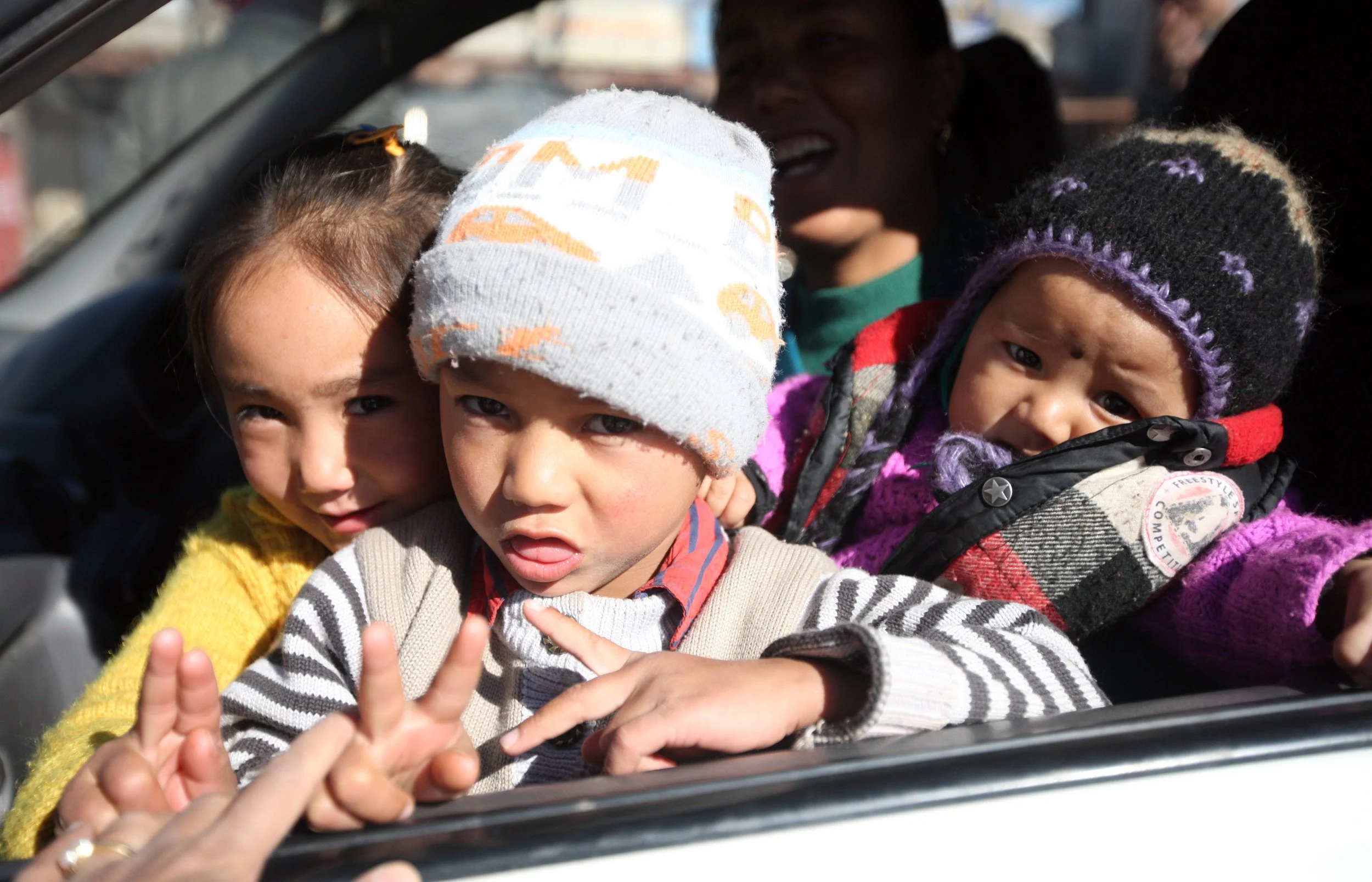 LEH - LADAKH INDIA - JAMMU AND KASHMIR - SURROUNDING REGION - SNOW LEOPARD EXPEDITION 2014 (110).JPG