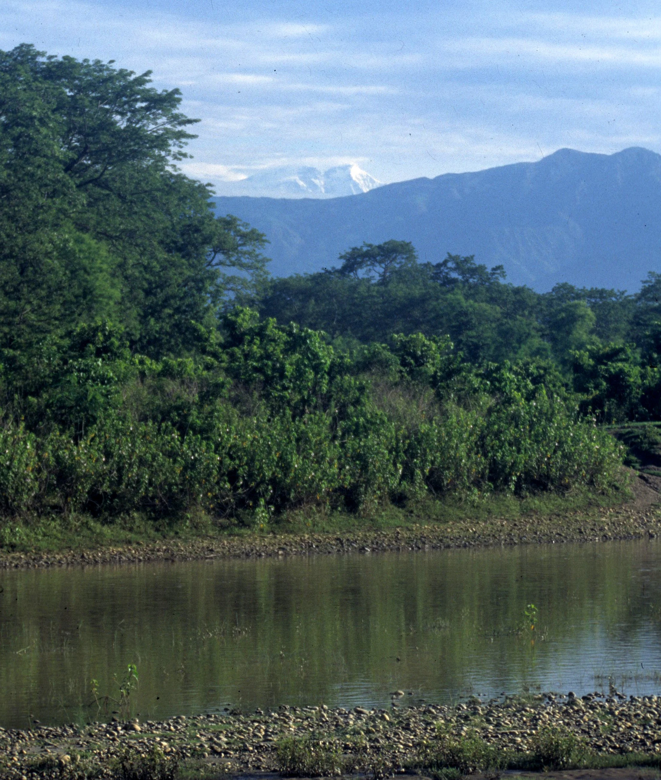 NEPAL - HIMALAYAN VIEWS FROM TERRAI LOWLANDS.jpg