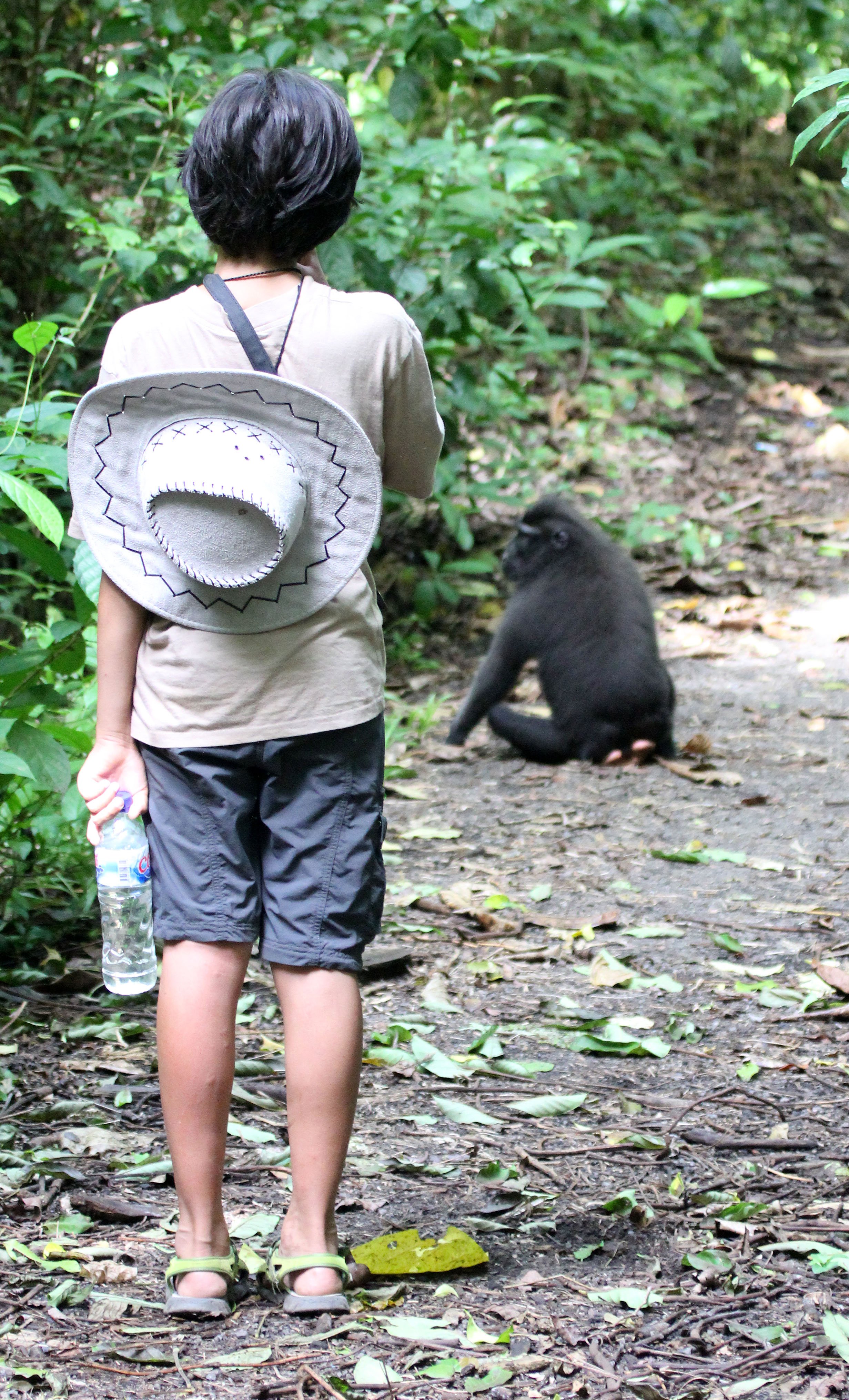 TANGKOKO NATIONAL PARK SULAWESI INDONESIA (18).JPG