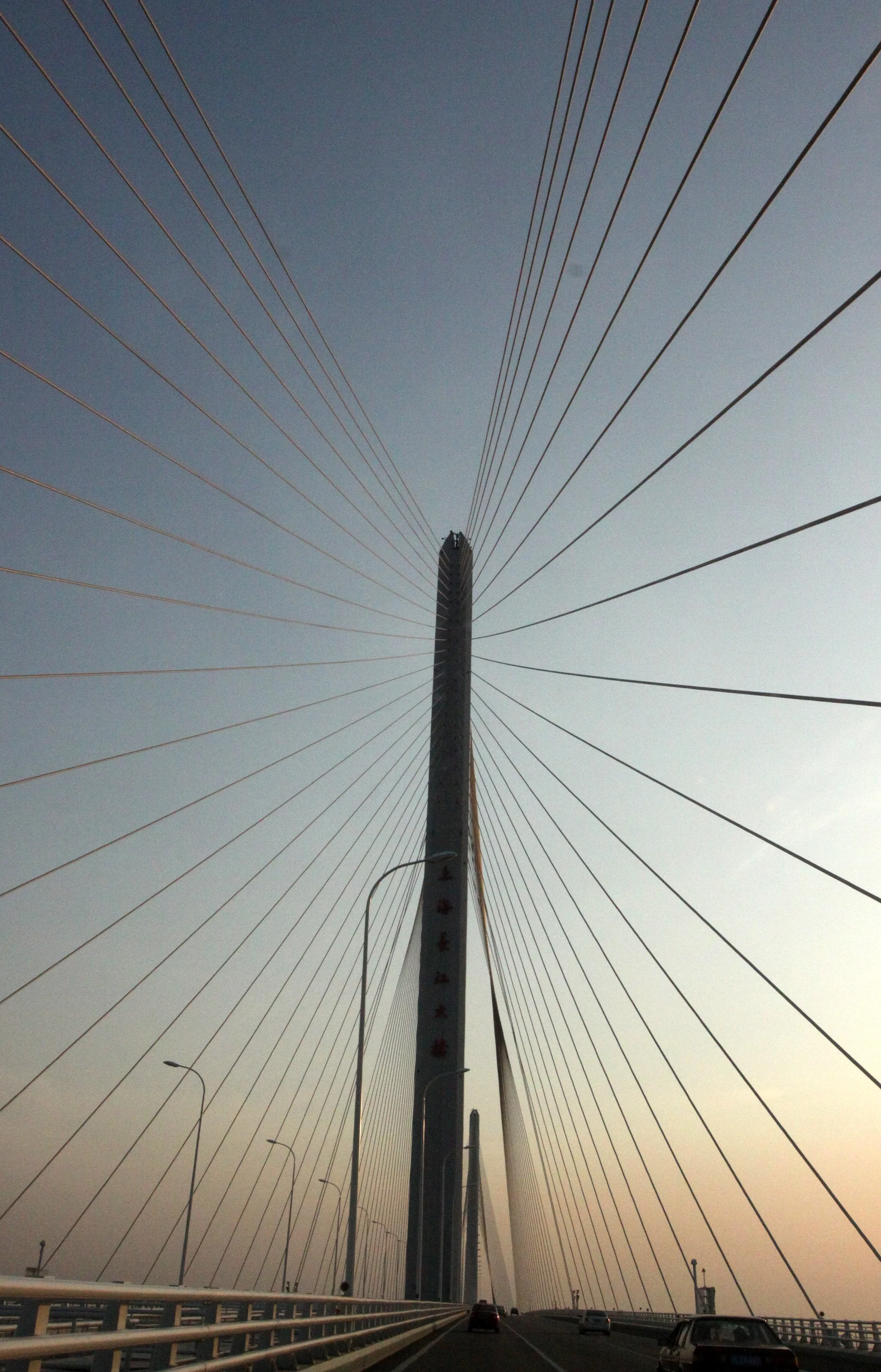 CHONGMING ISLAND BRIDGE - CROSSING THE YANGTZE RIVER (3).JPG