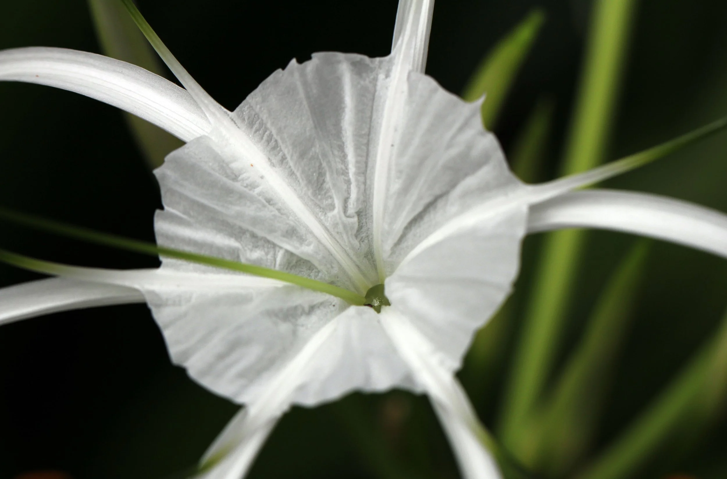 2013 Cha'am and Petchaburi with Family & Friends (61).JPG