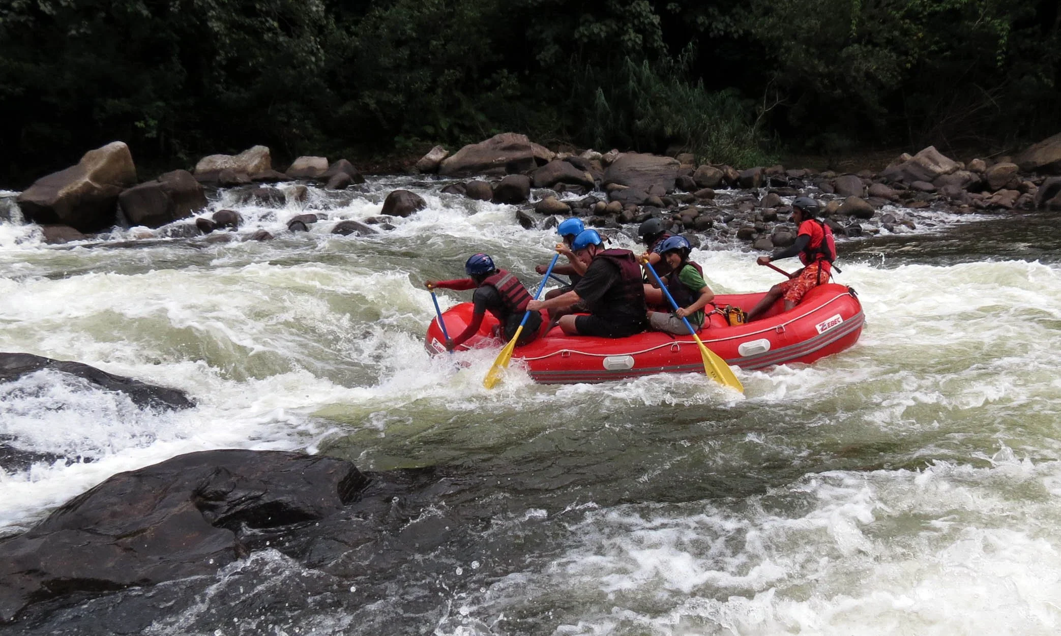 KITULGALA FOREST PRESERVE SRI LANKA (67).JPG