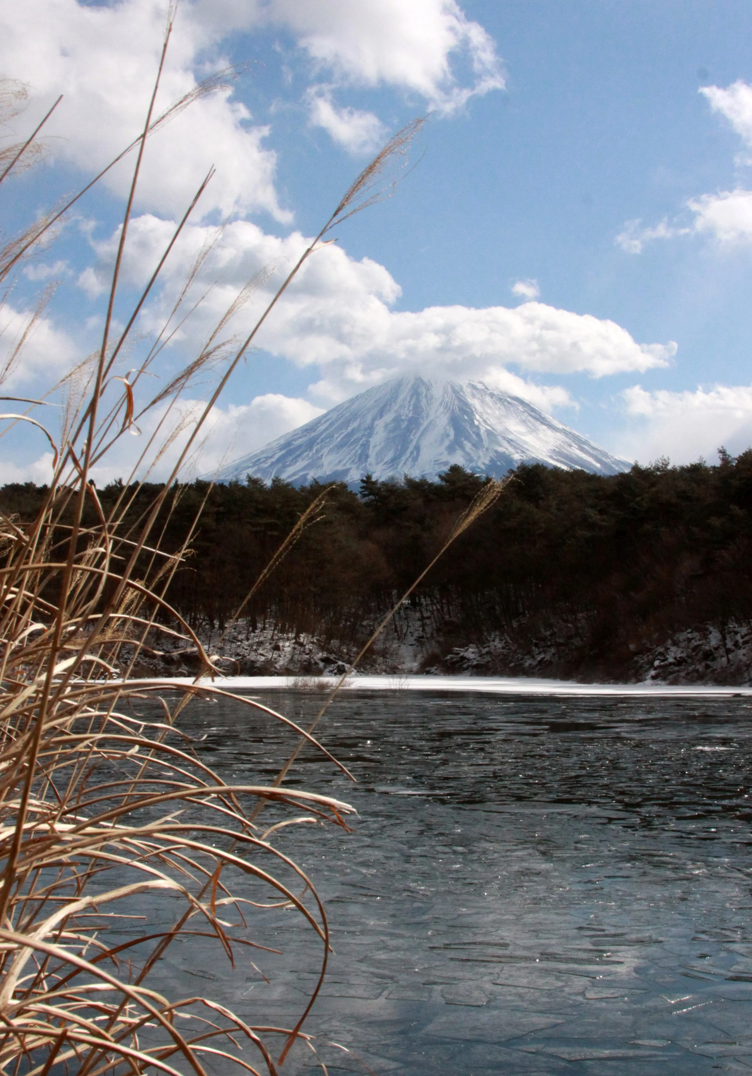 MOUNT FUJI - AS SEEN FROM LAKE SHOJI JAPAN (31).JPG