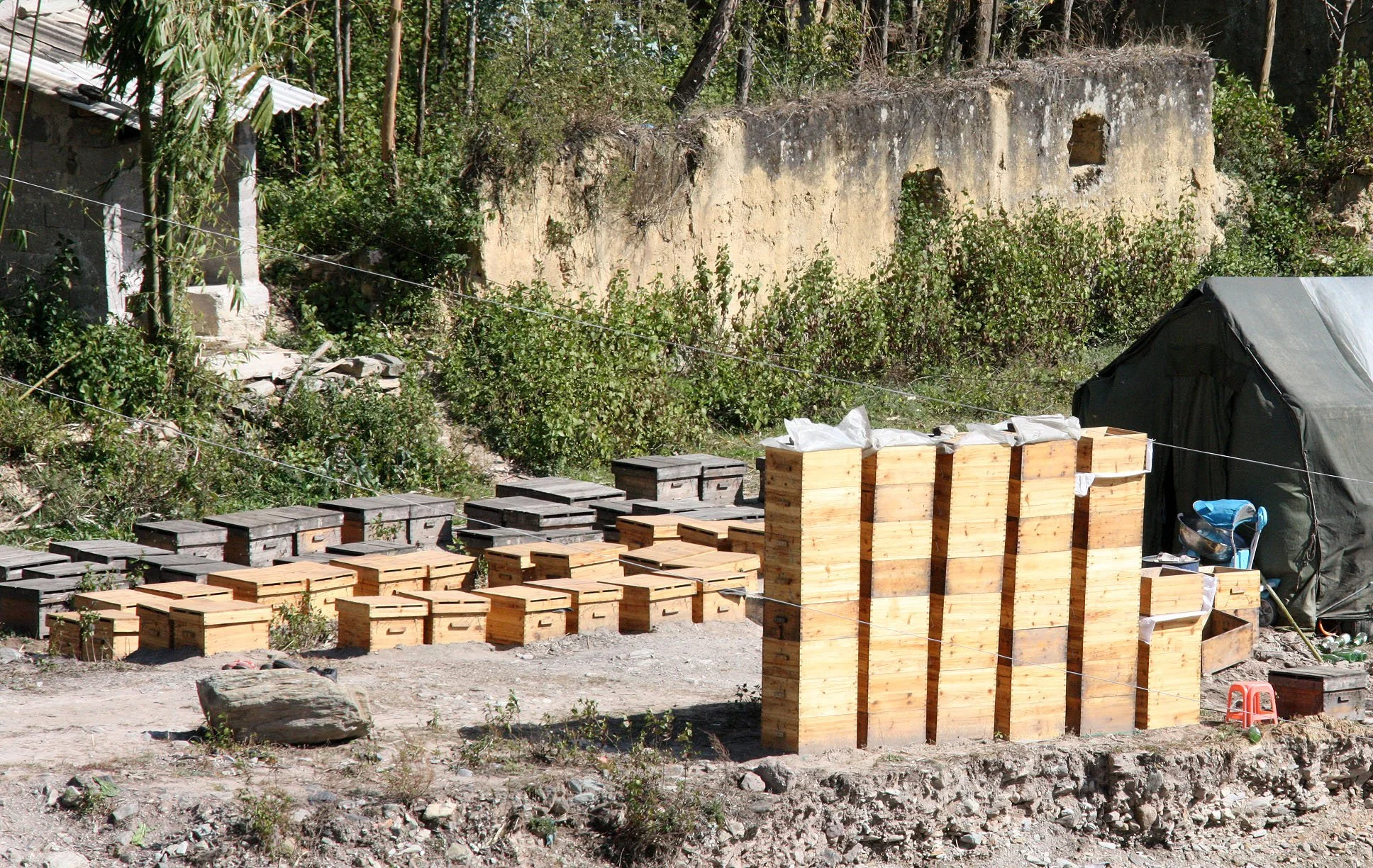 YUNNAN - NANJIAN TOWN AND SURROUNDING REGION (21).JPG