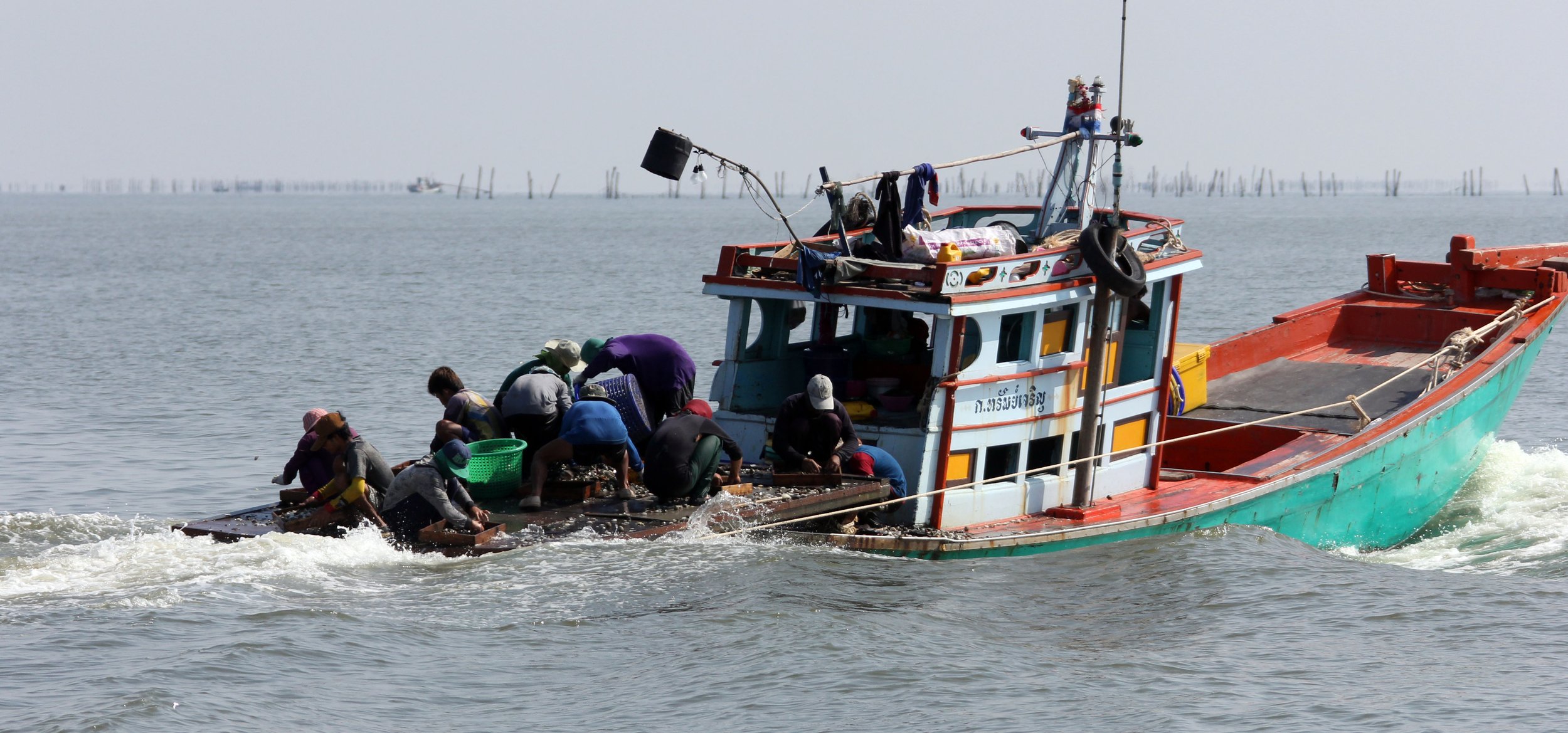 2014 Amphawa Trip to See Whales from Baan Taboon (131).JPG