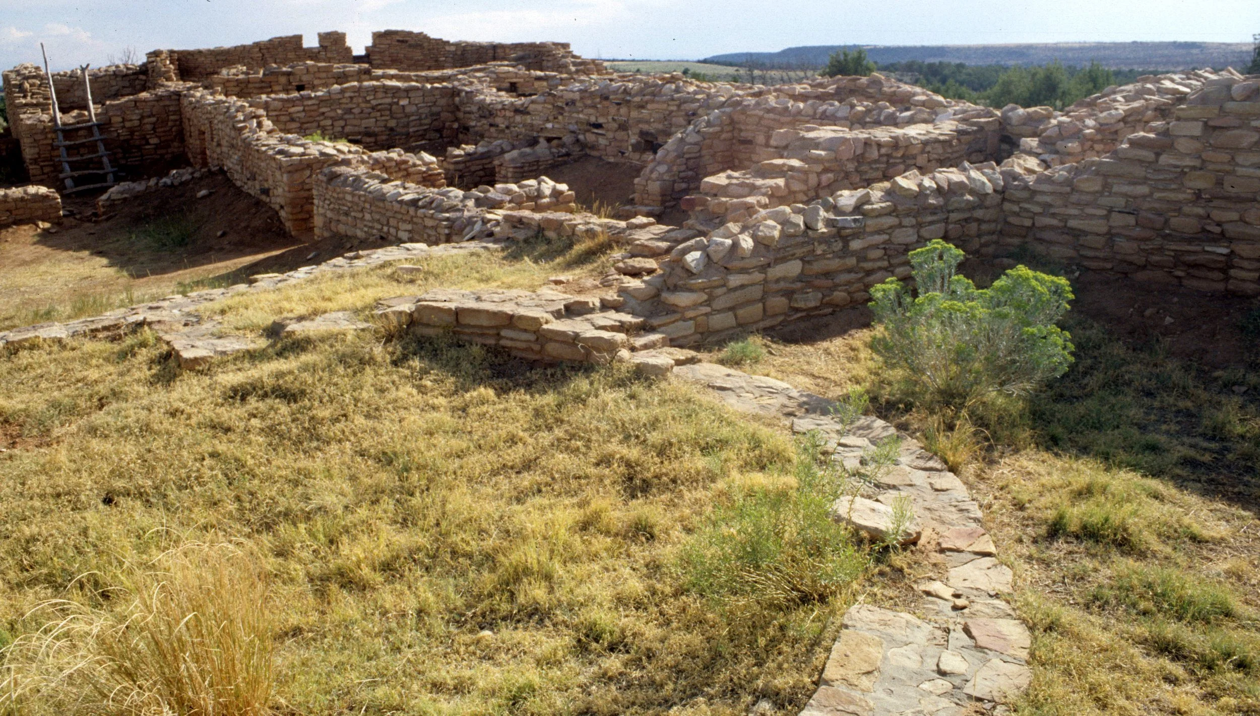 ANASAZILAND - LOWRY RUINS COLORADO.jpg