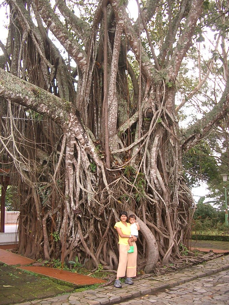 2004 Chiang Mai & Northern Thailand Road Trip (8).JPG