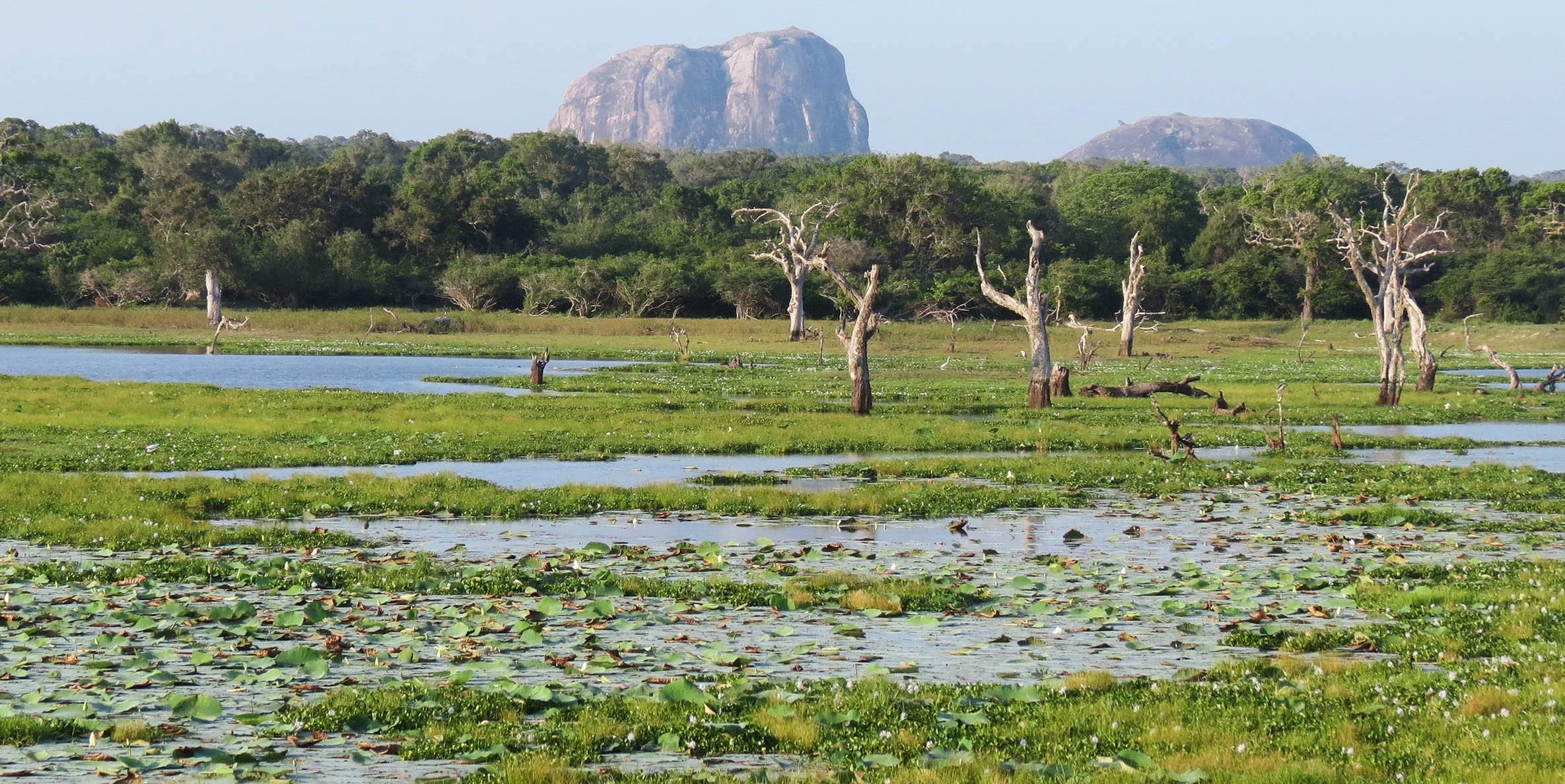 YALA NATIONAL PARK SRI LANKA - KIRINDA VILLAGE AREA (14).JPG