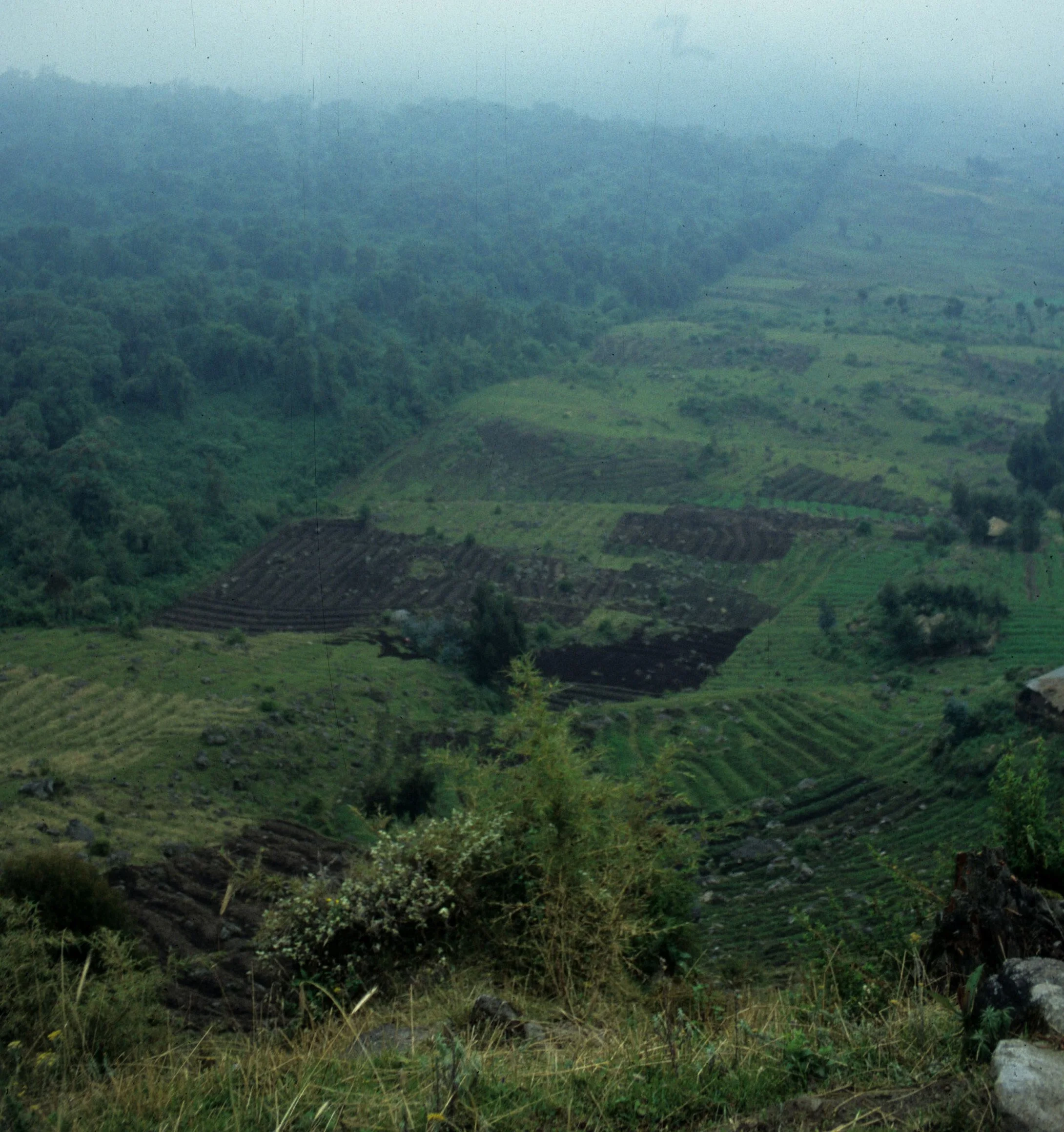RWANDA - PARC DU VULCANS - BOUNDARY.jpg