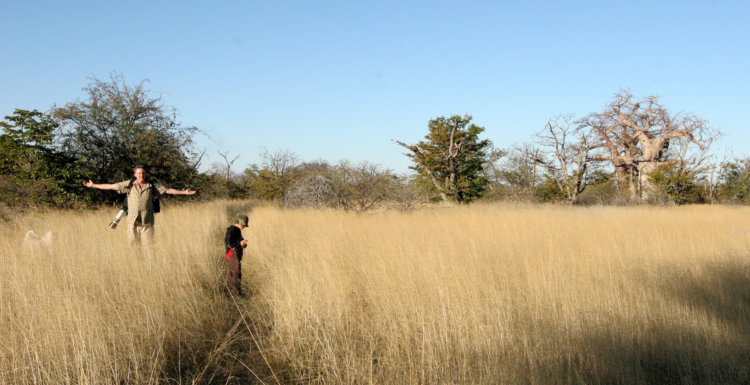 BOTSWANA -KALAHARI DESERT PLANET BAOBAB BOTSWANA.JPG