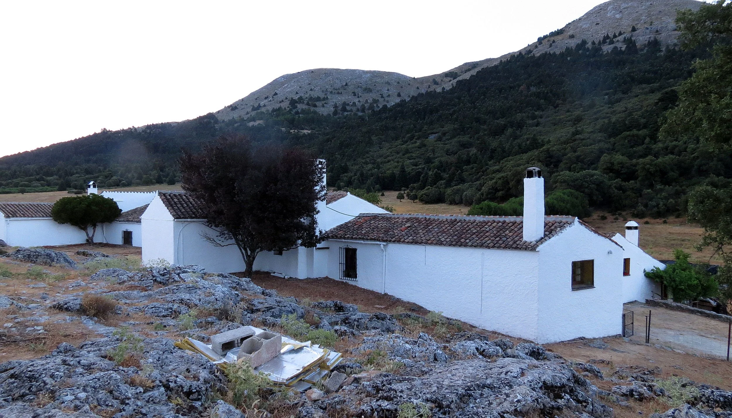 SIERRA DE LAS NIEVES NATIONAL PARK SPAIN (5).JPG