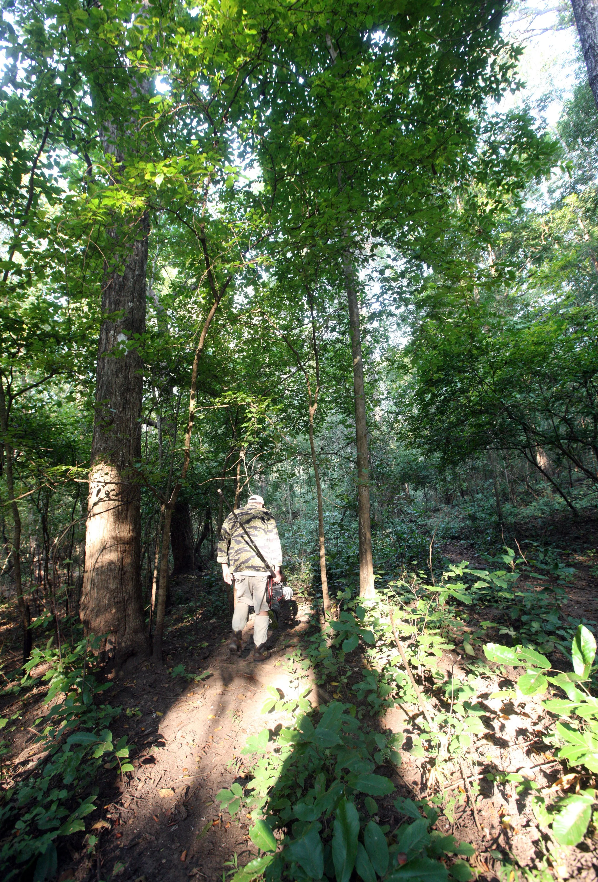 HUAI KHA KHAENG NATURE RESERVE - HEADQUARTERS - THAILAND (136).JPG