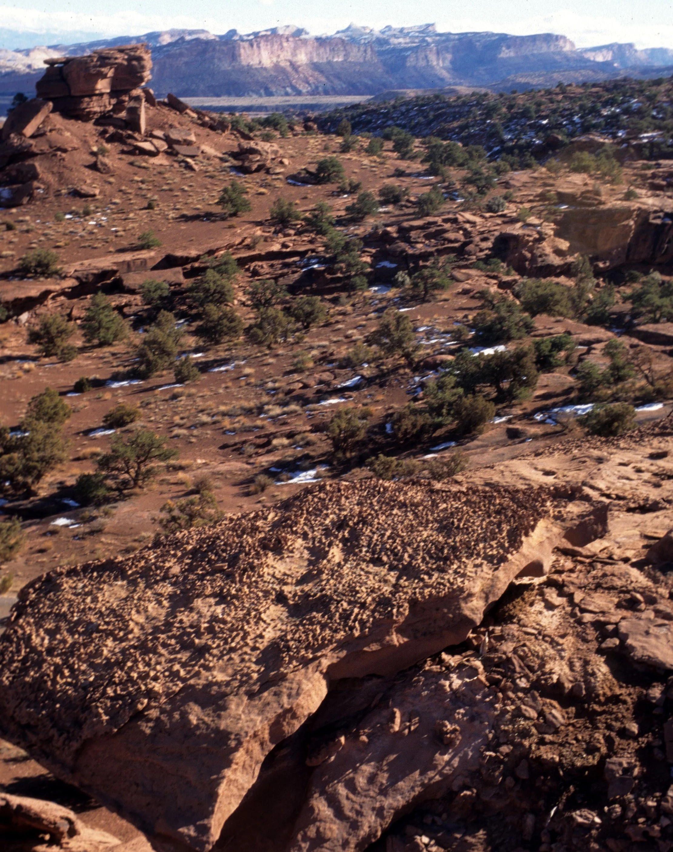 UTAH - CAPITOL REEF NP A.jpg