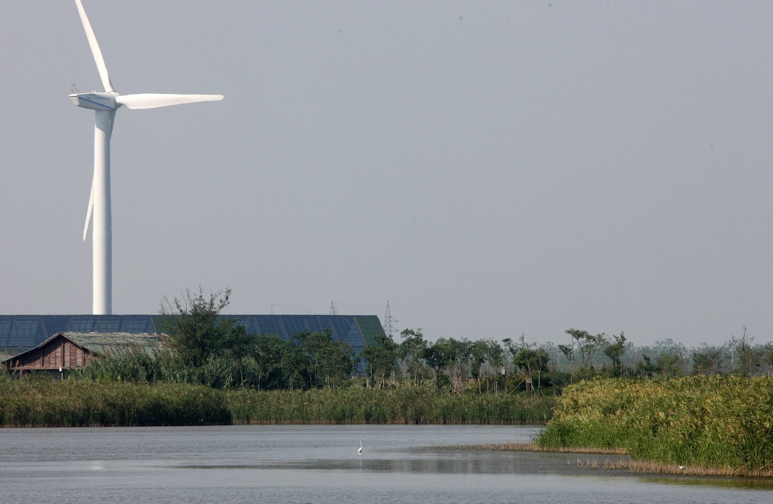 CHONGMING ISLAND - DONGTAN WETLANDS RESERVE - WINDFARMS (6).JPG