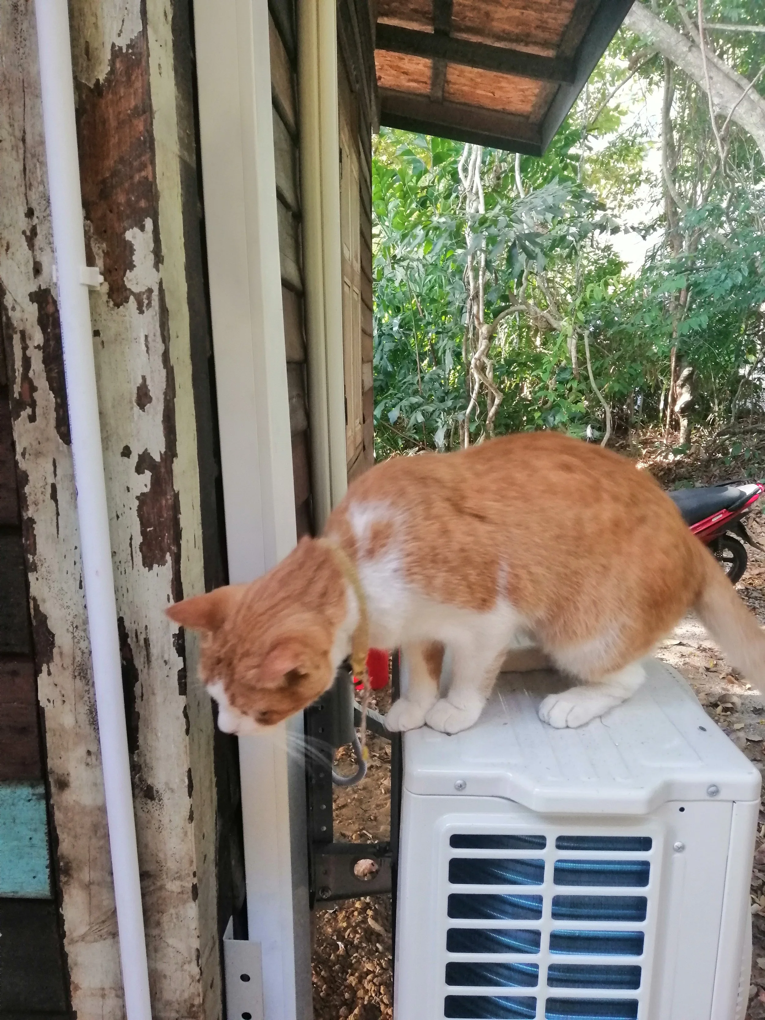 2018 Koh Lanta Misc  (131).jpg