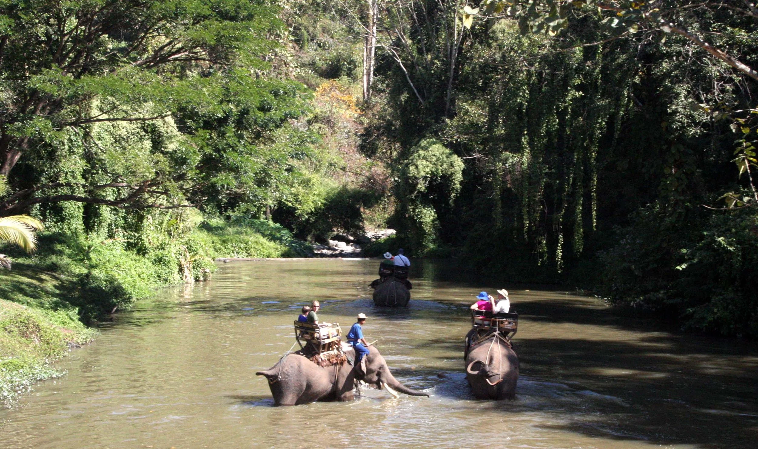 2008 Lampang City & Elephant Center (22).JPG