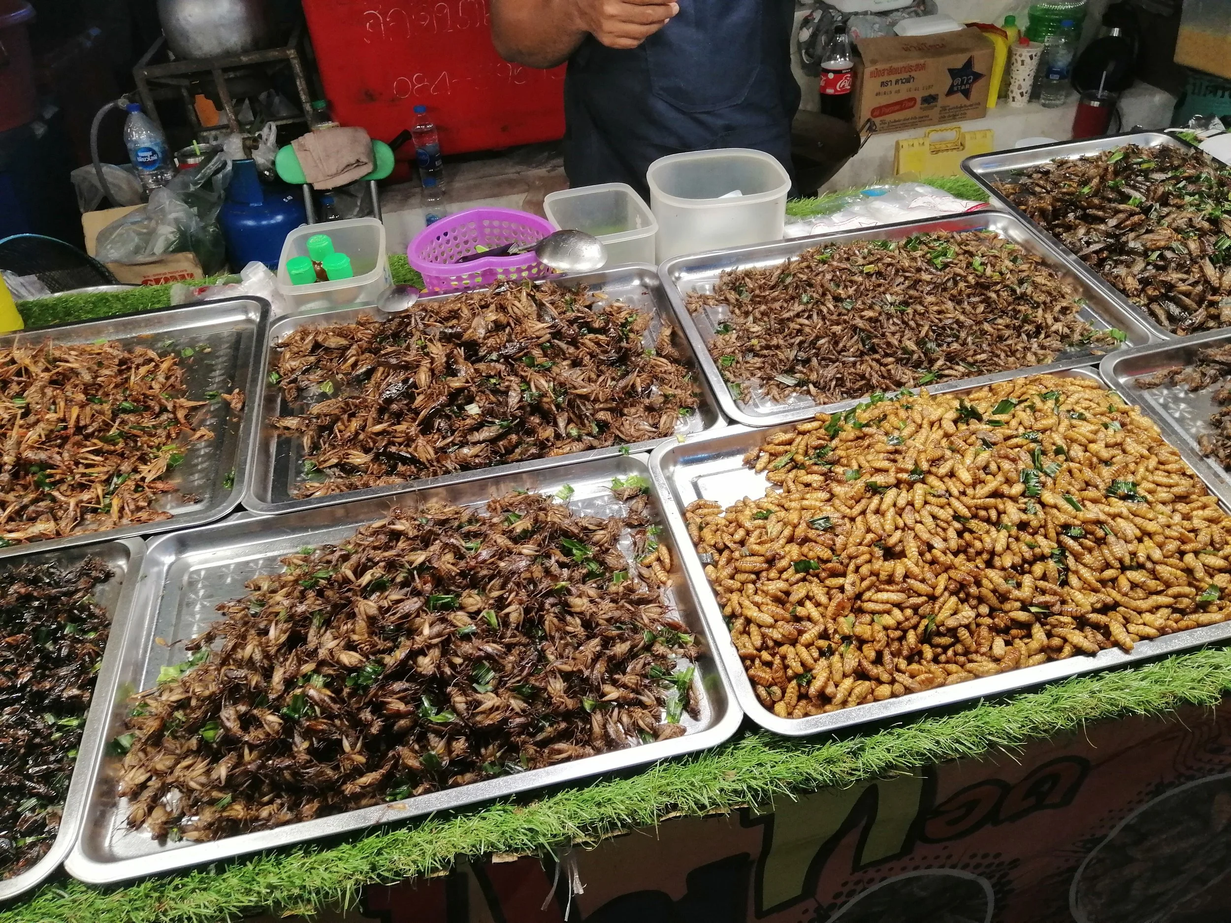 2019 Samut Prakan - Phra Samut Chedi(81).jpg