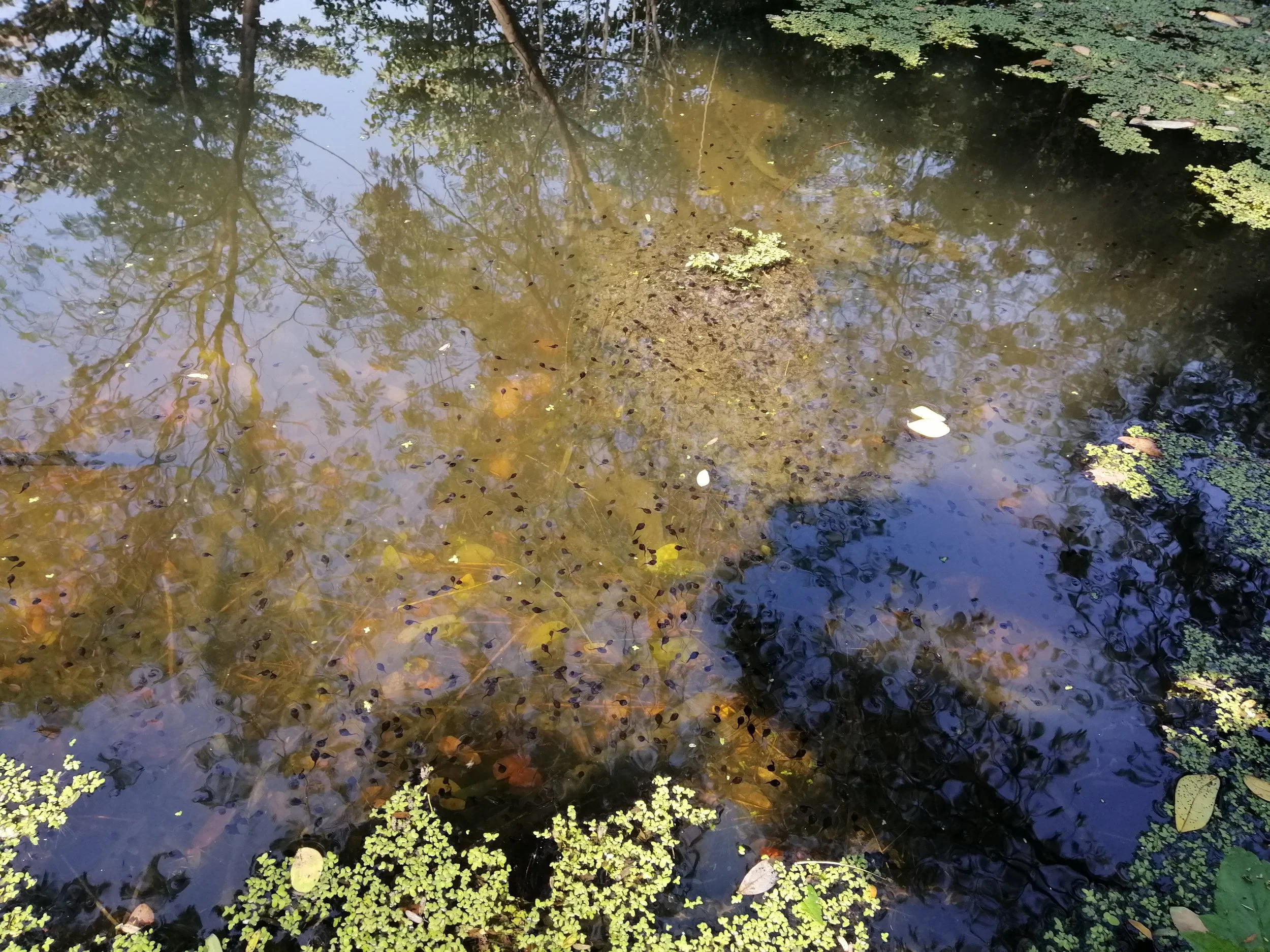 IMG_20190129_101811.jpg