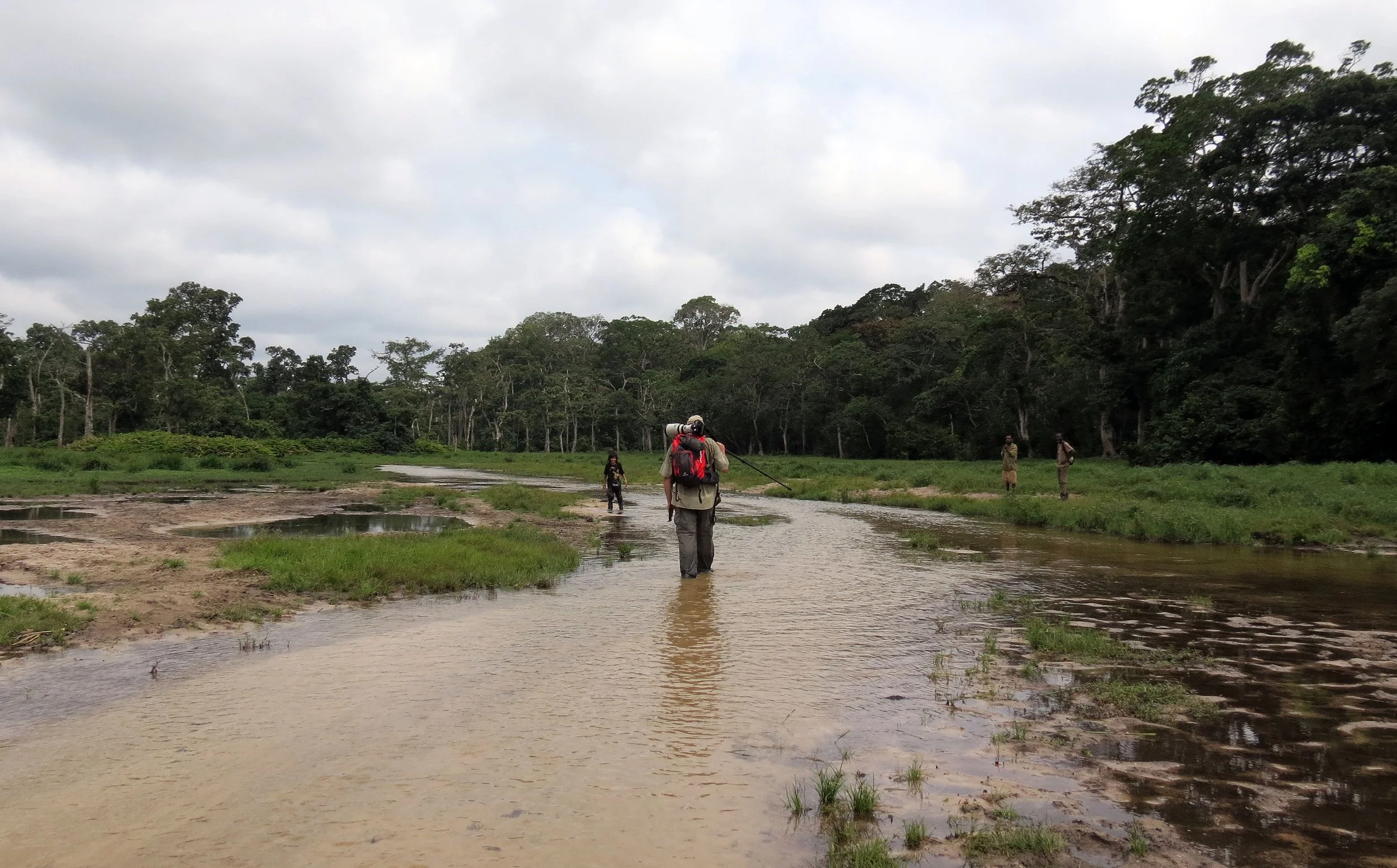 DZANGA NDOKI NATIONAL PARK  - CENTRAL AFRICAN REPUBLIC (26).JPG