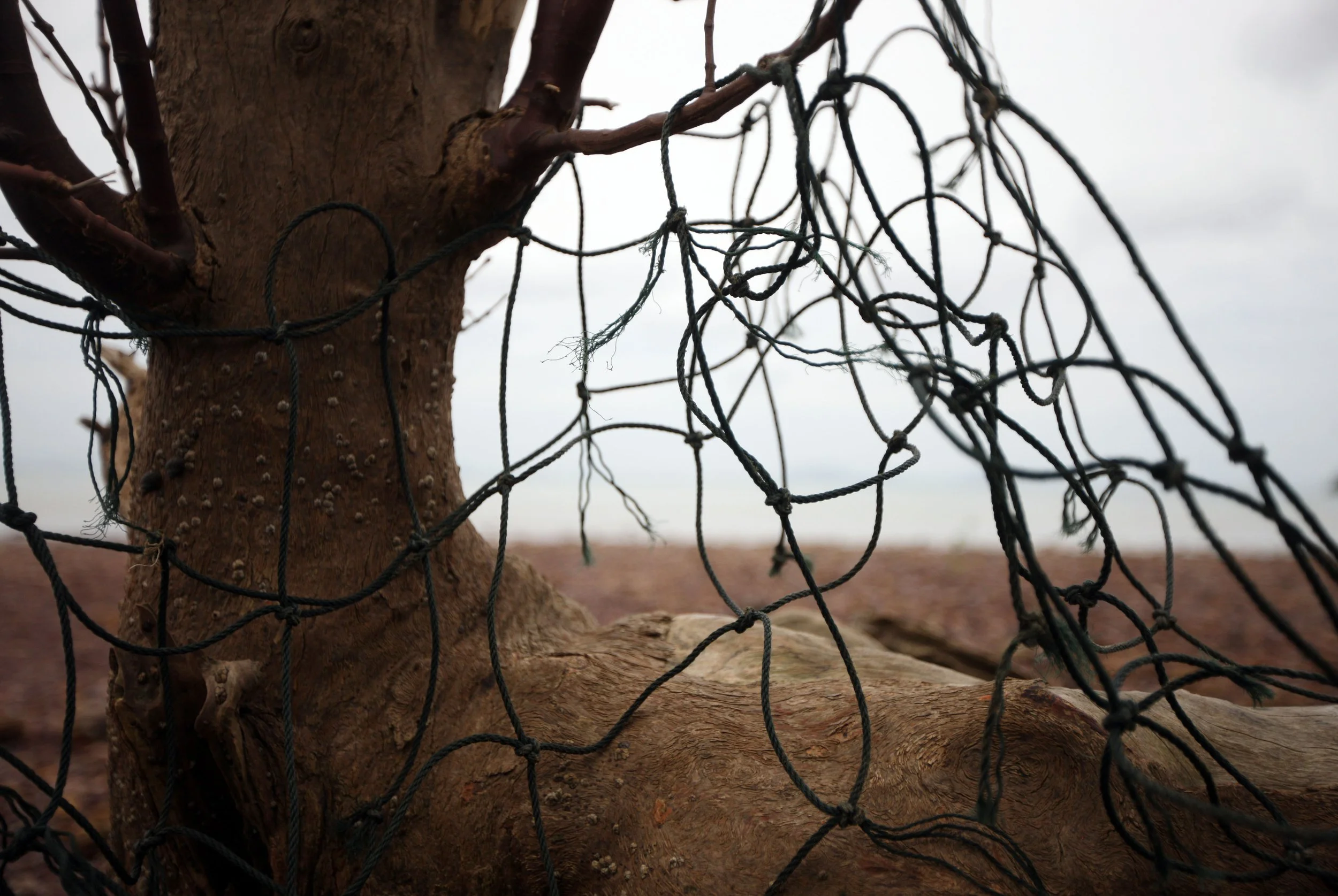 2014 Lanta Summer Fun (32).JPG