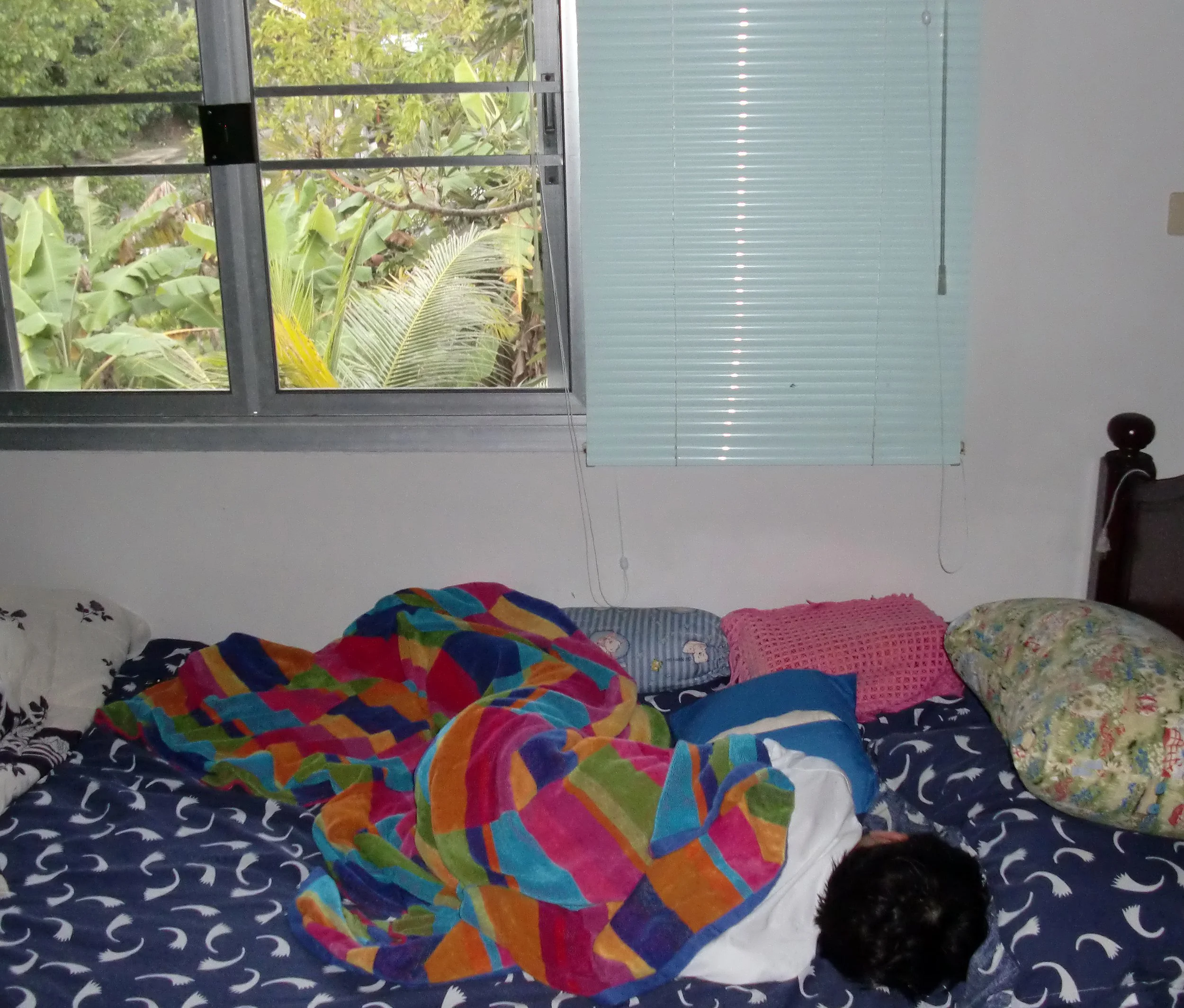 2011 Nakhonsithammarat Winter in Thailand Trip (46).JPG